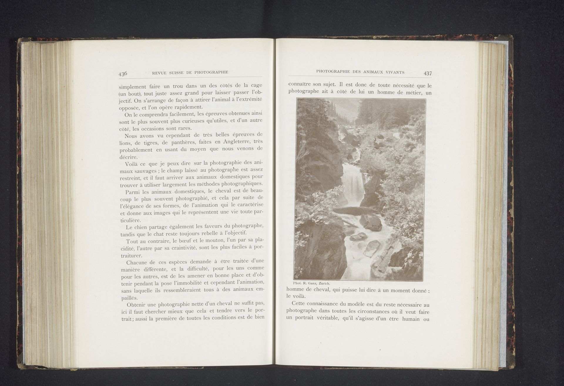 Waterval by Rudolf Ganz