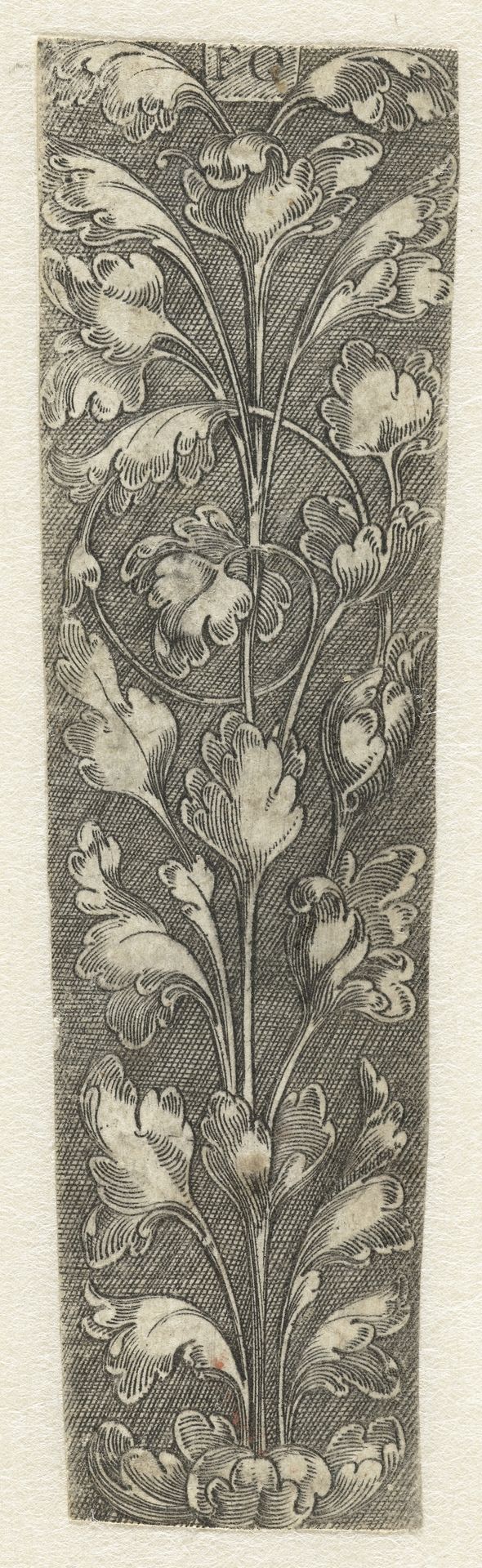 Fragment van een ornament by Monogrammist FG