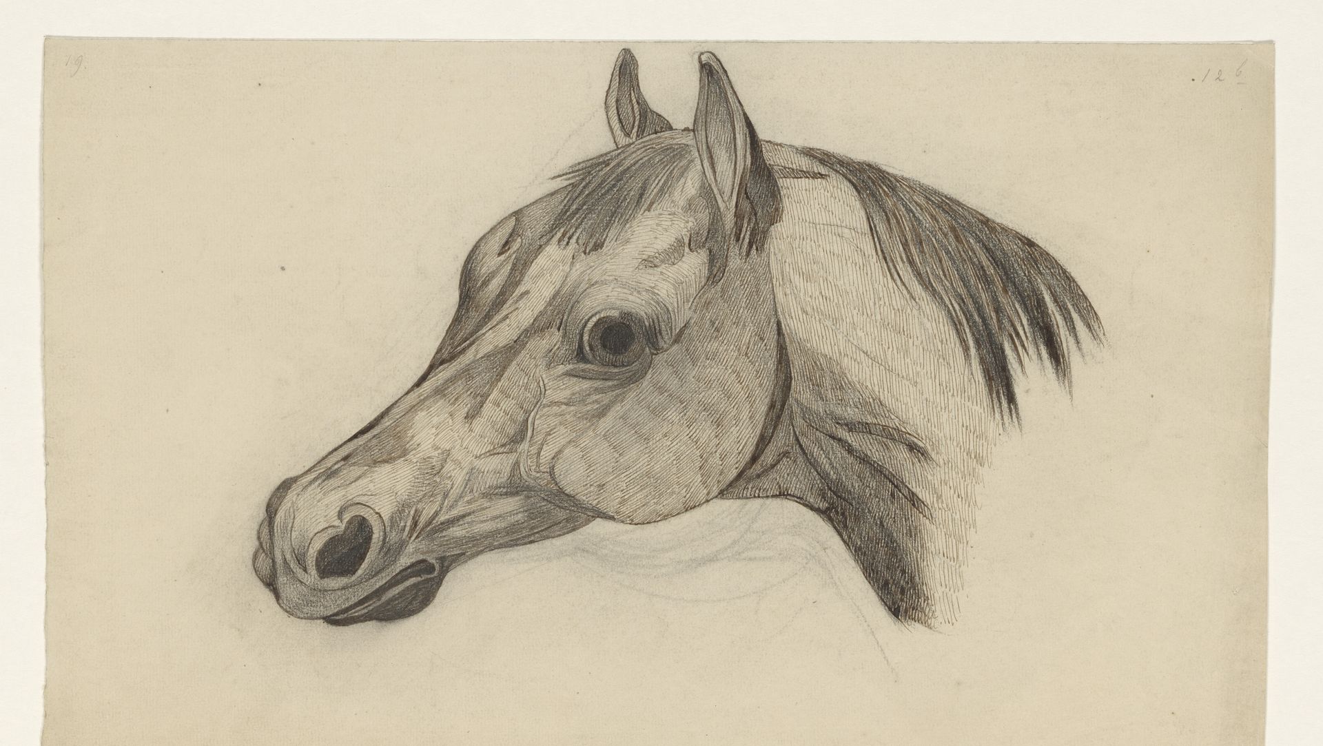 Kop van een paard, naar links by Dirk Arnoldus Tavenraat