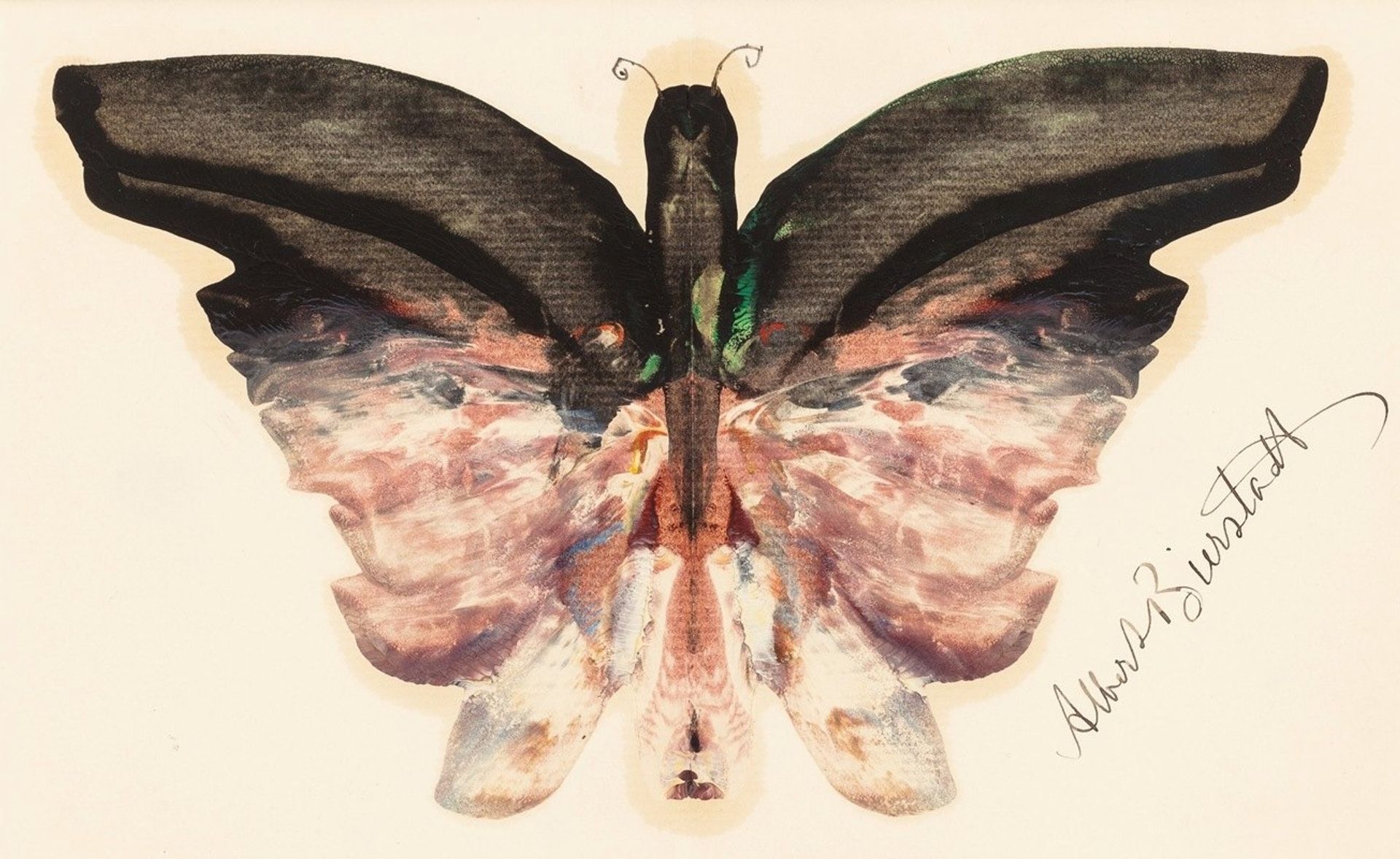 Pink Butterfly by Albert Bierstadt