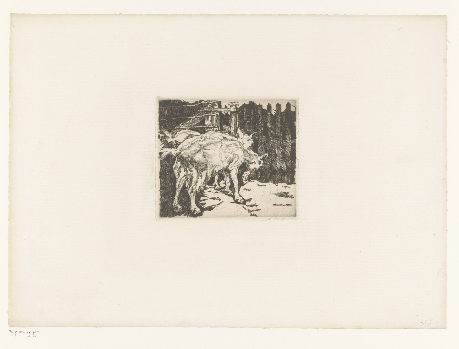 Geiten bij een hek by Adolf Eduard Herstein