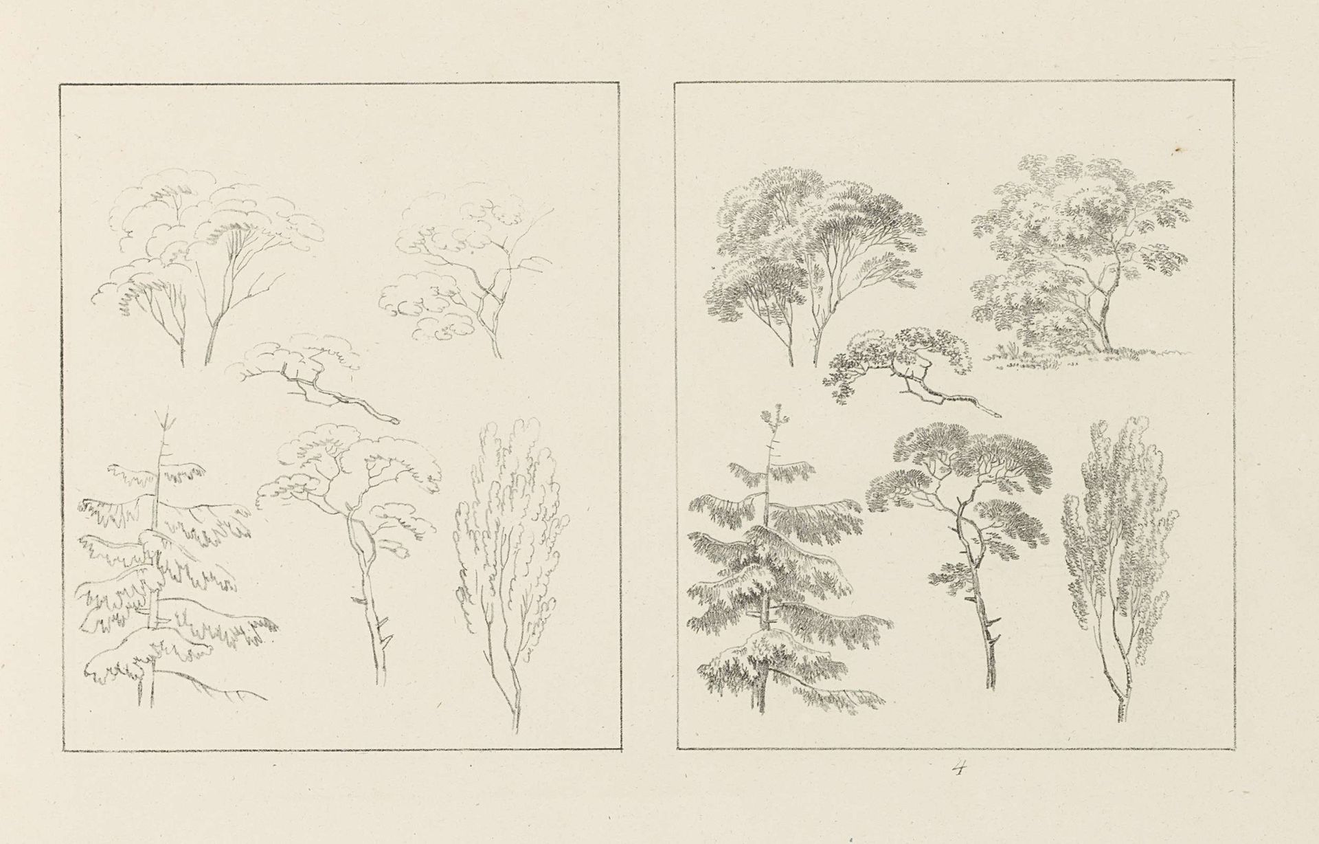 Albumblad met twee voorstellingen van verschillende soorten bomen: links het ontwerp, rechts de uitvoering by Max Josef Wagenbauer