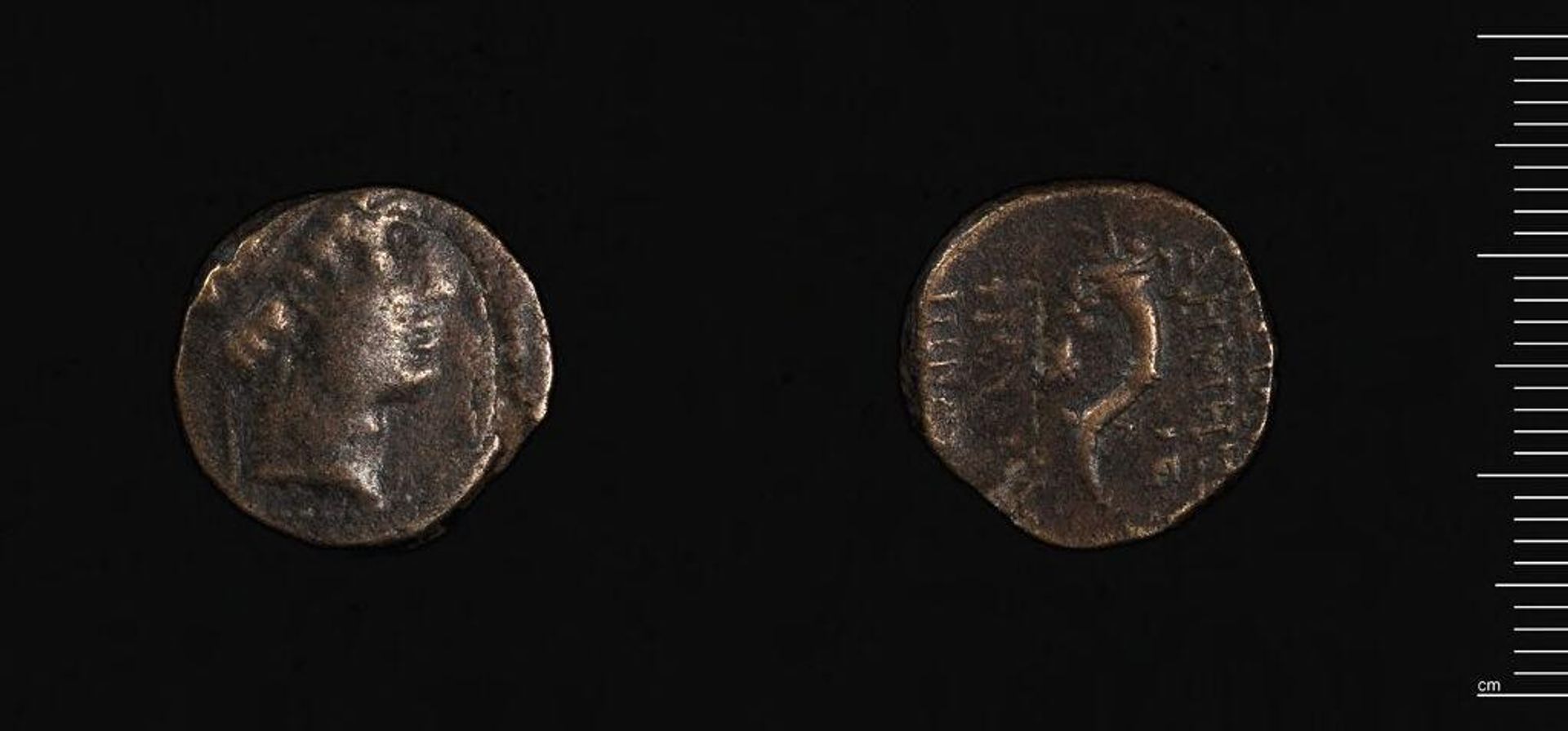 Coin of Demetrios II by Demetrios II of Syria Nikator
