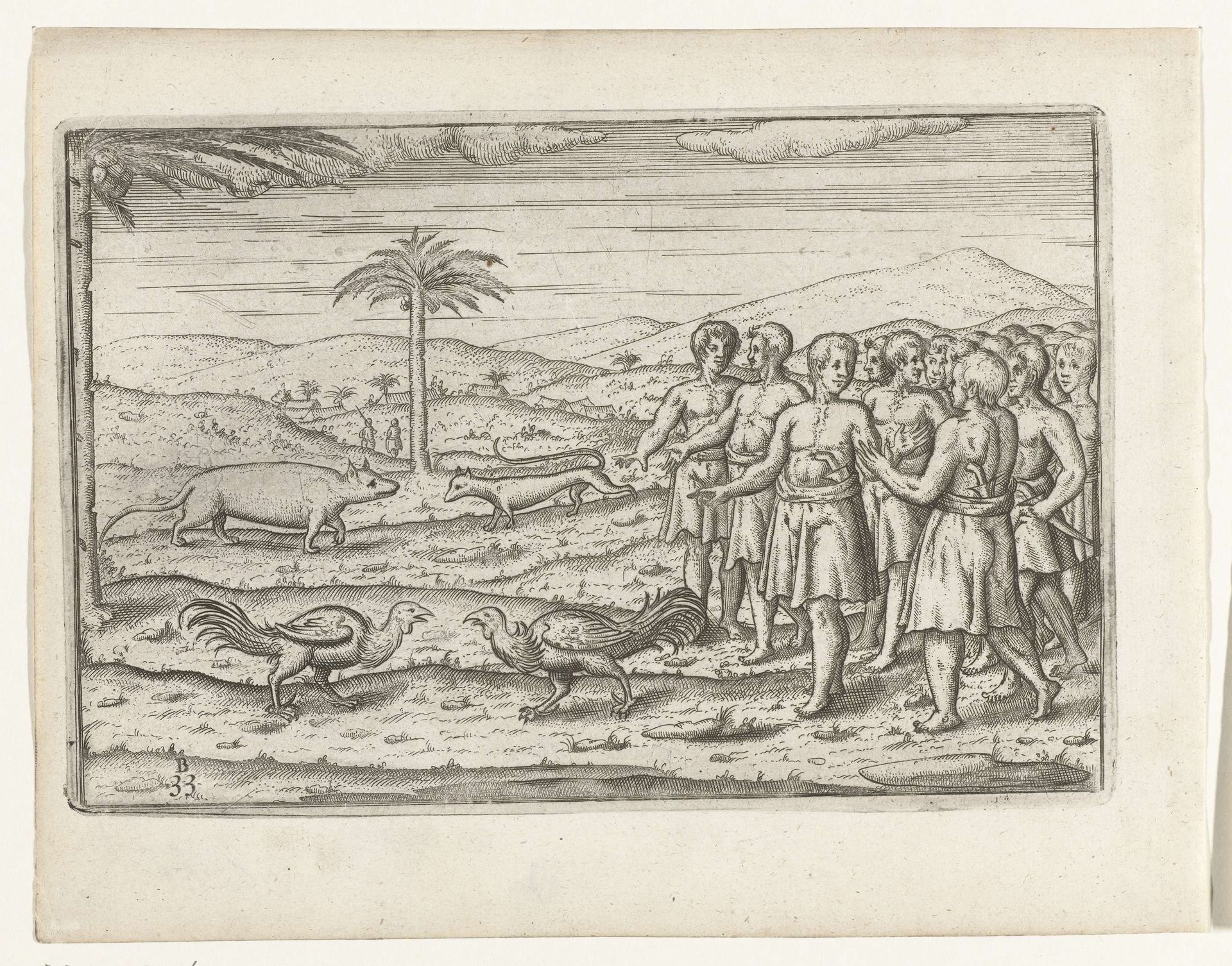 Hanengevecht op Java, 1596 by Anonymous