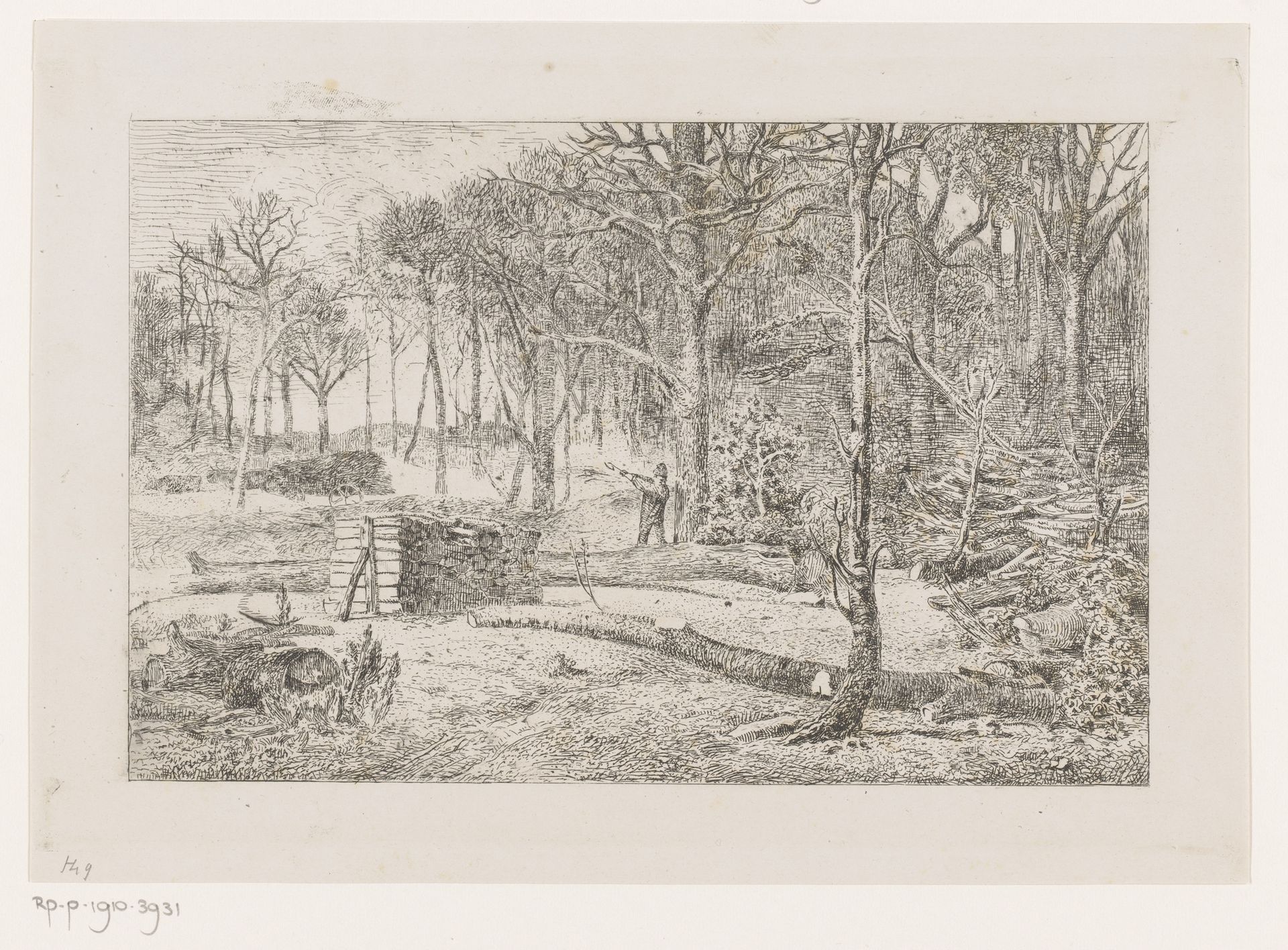 Houthakker in het bos by Lambert Jacquelart