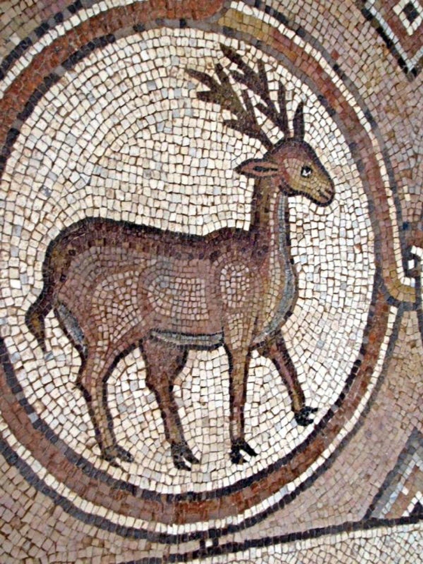 Mosaic of Deer in Petra Church by Byzantine Mosaics