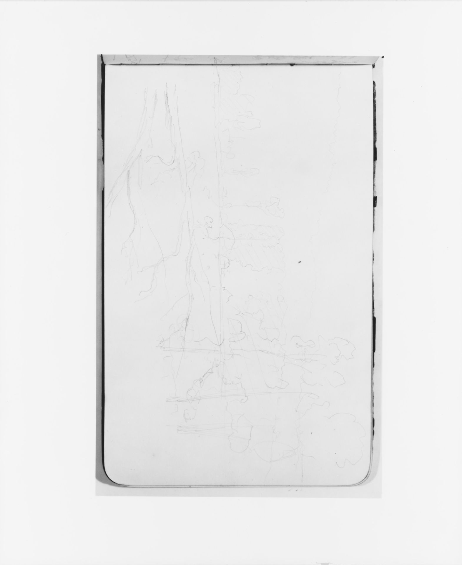 Cowlitz River; Kelso, Washington (from Sketchbook) by Albert Bierstadt