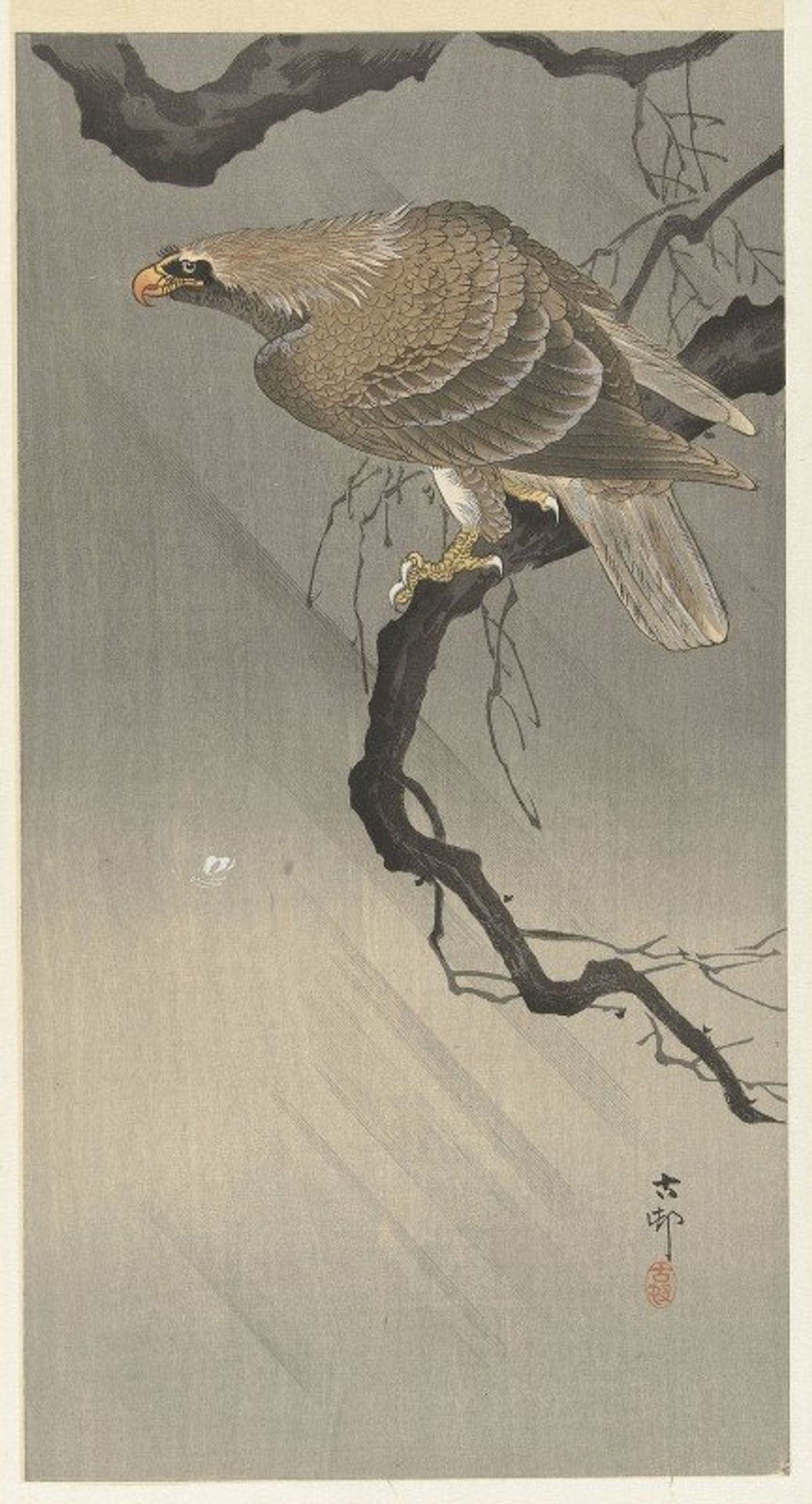Eagle on branch by Ohara Koson