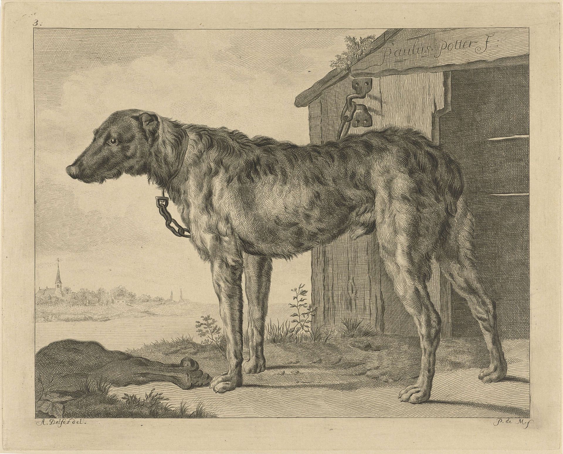 Hond by Pieter de Mare