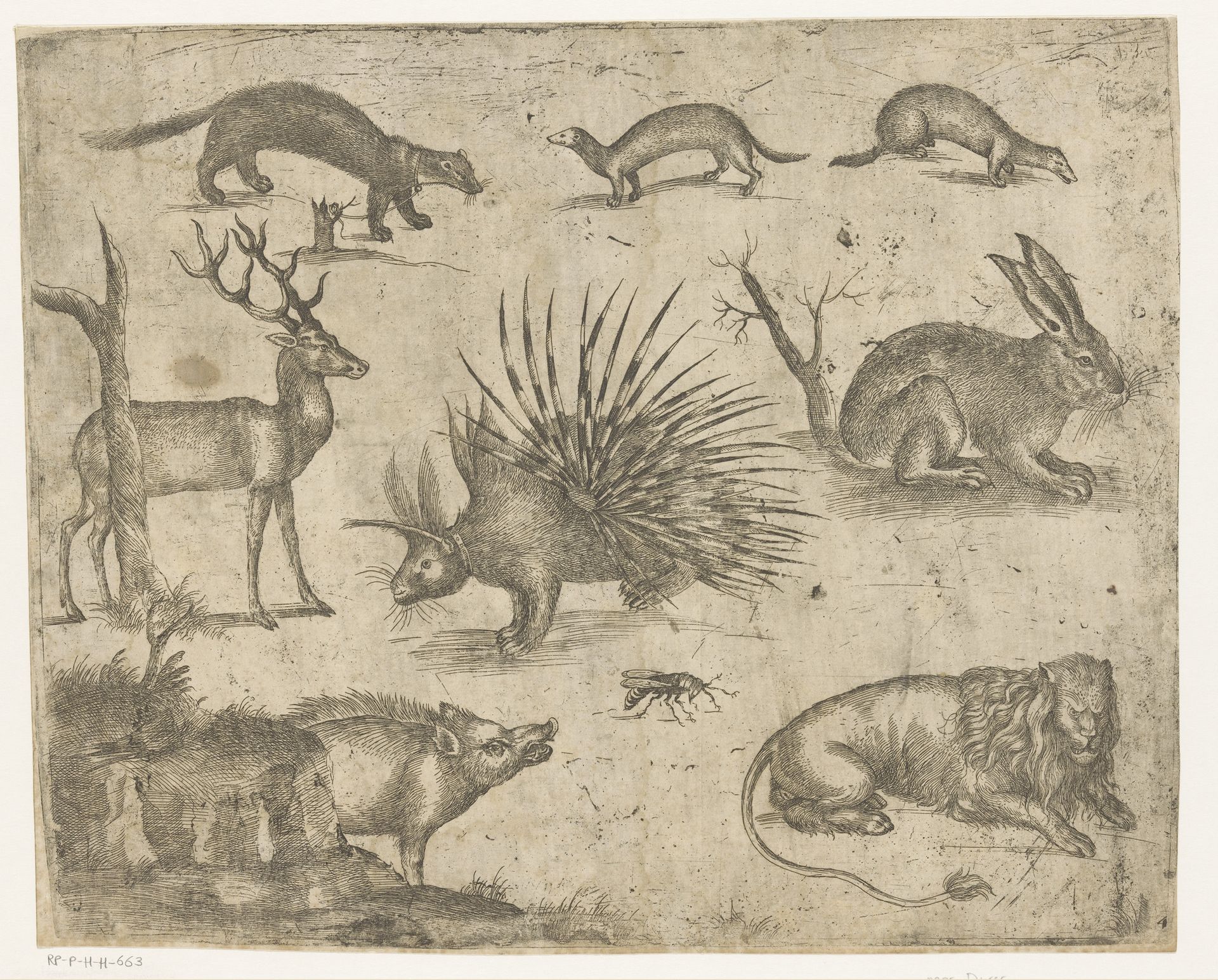 Studieblad met verschillende dieren by Antonio Tempesta