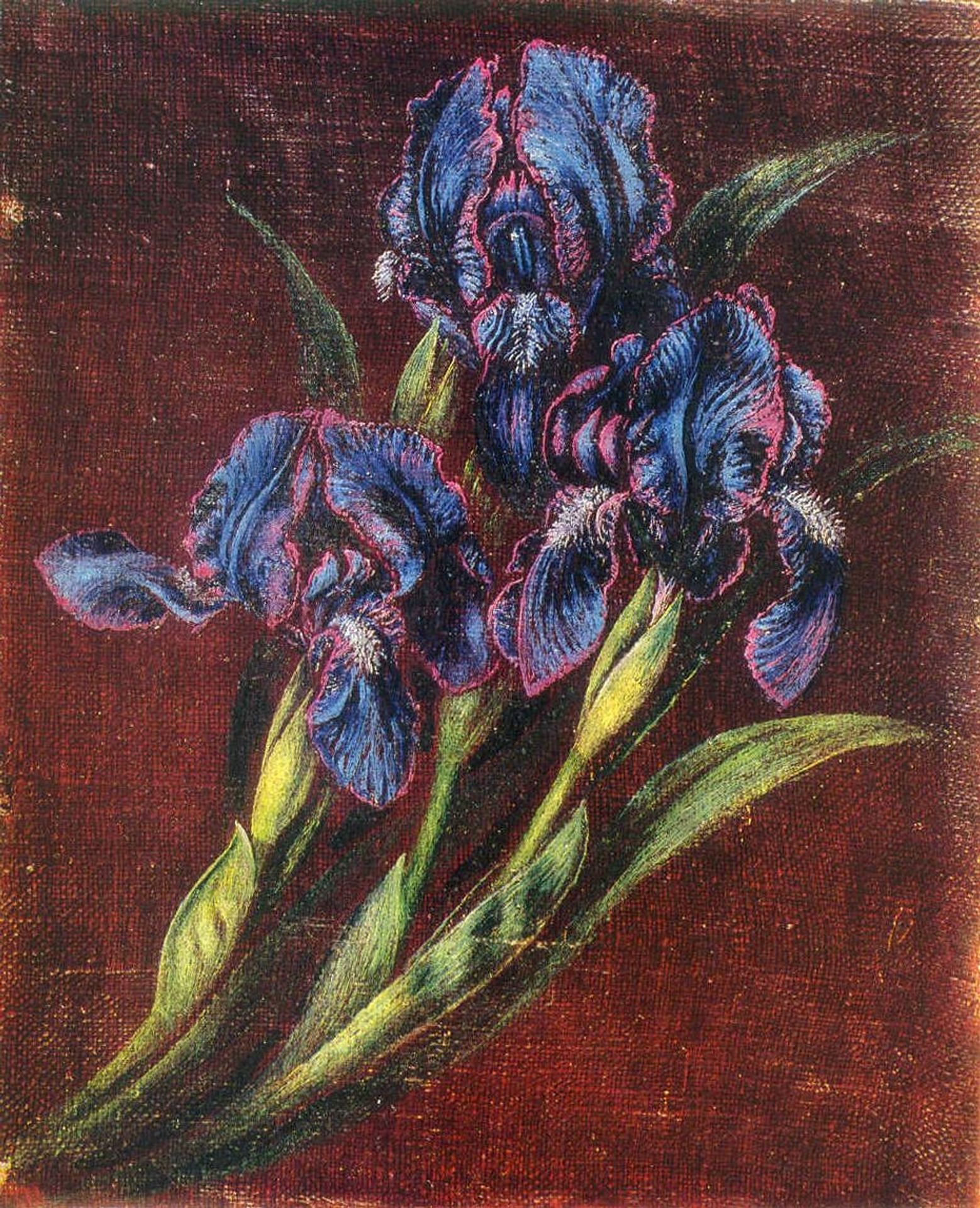 Irises by Kateryna Bilokur