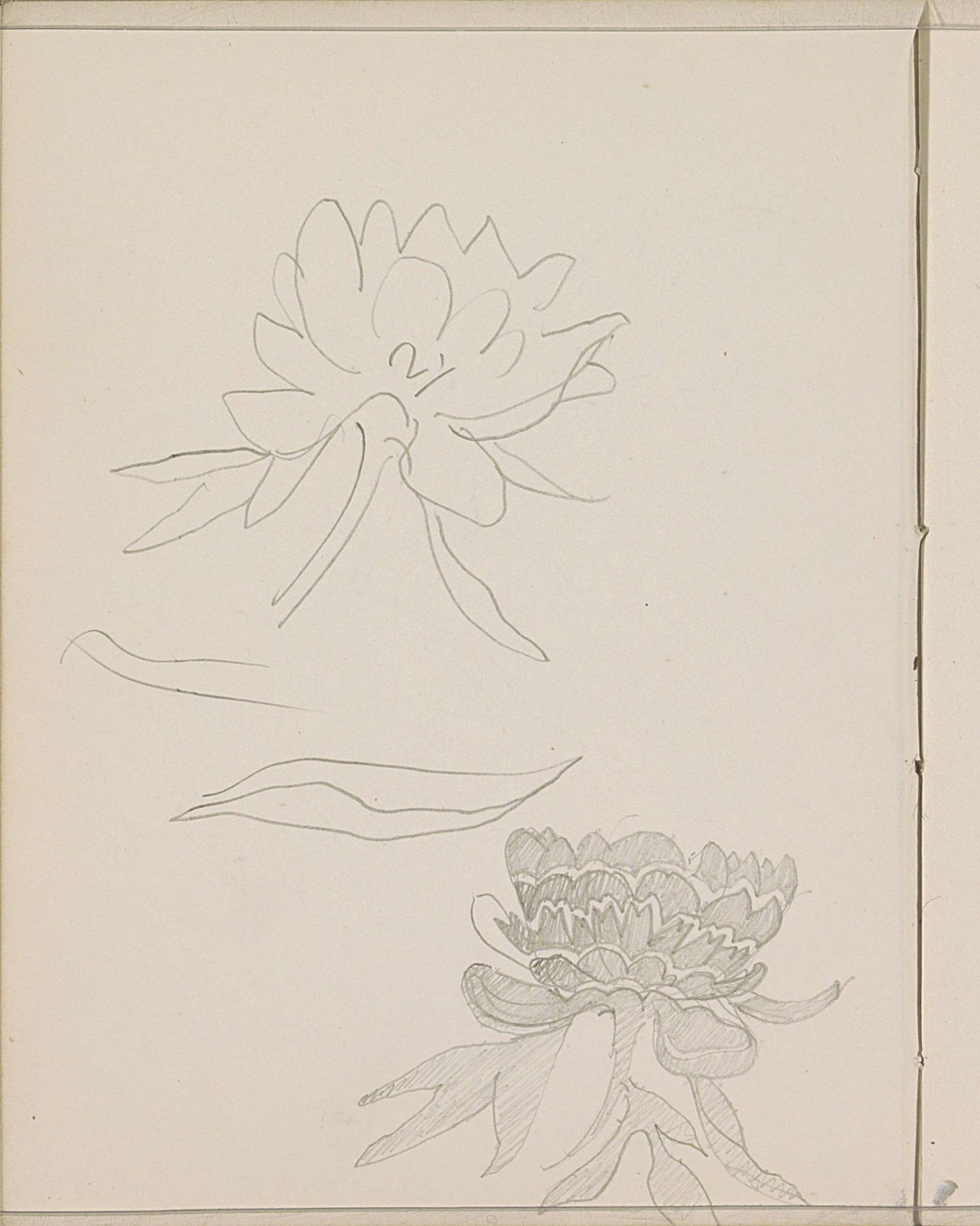 Bloemen by Reijer Stolk