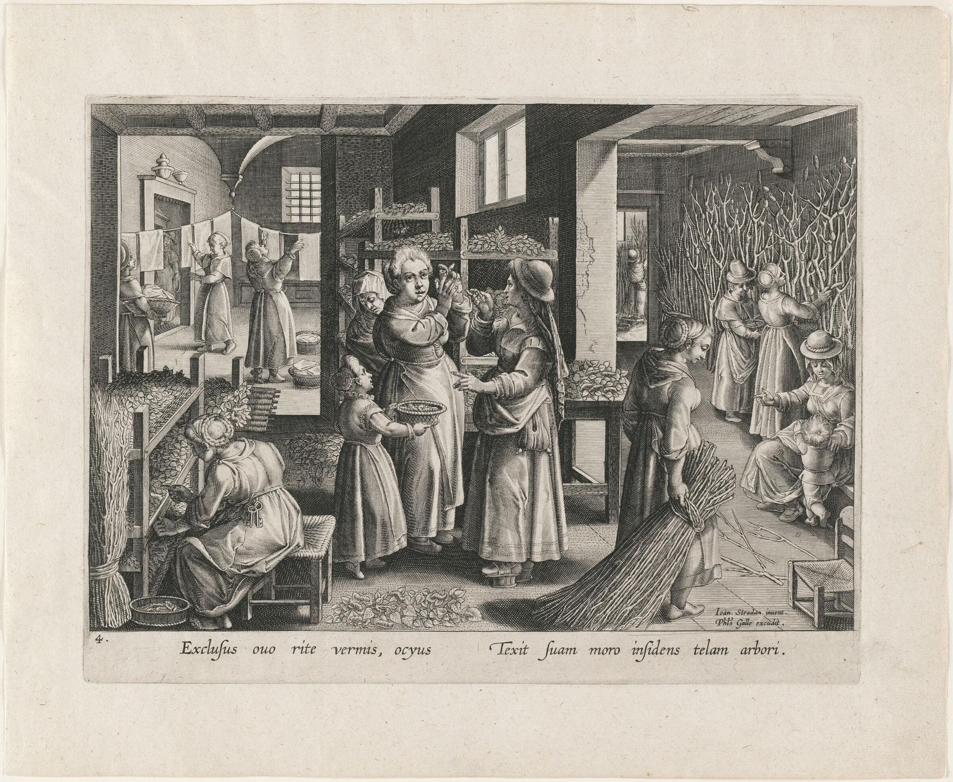 The Silkworm Eggs Spread Out on Shelves by Karel de Mallery