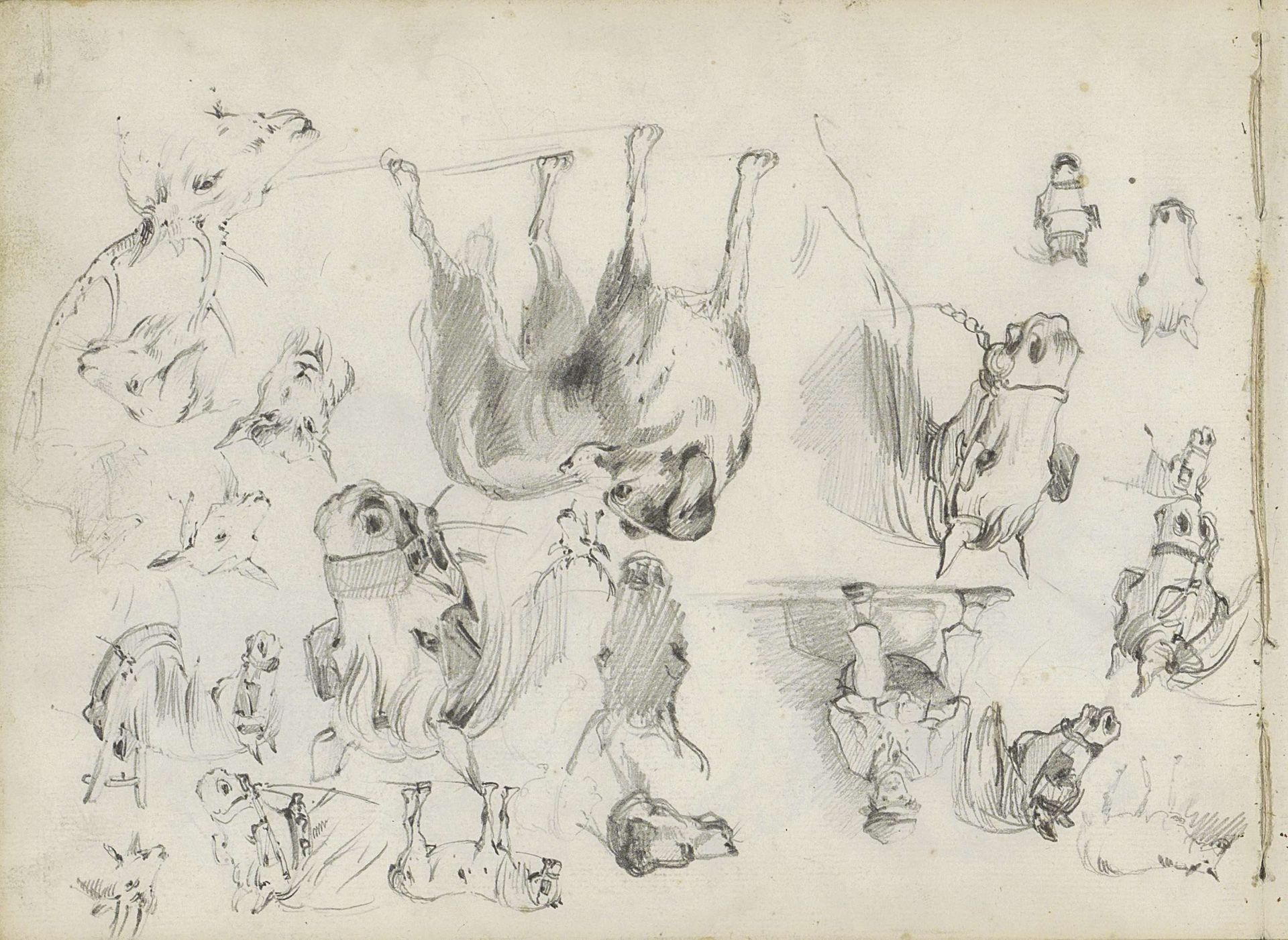 Studieblad met honden, paarden, geiten en een hert by Willem Koekkoek