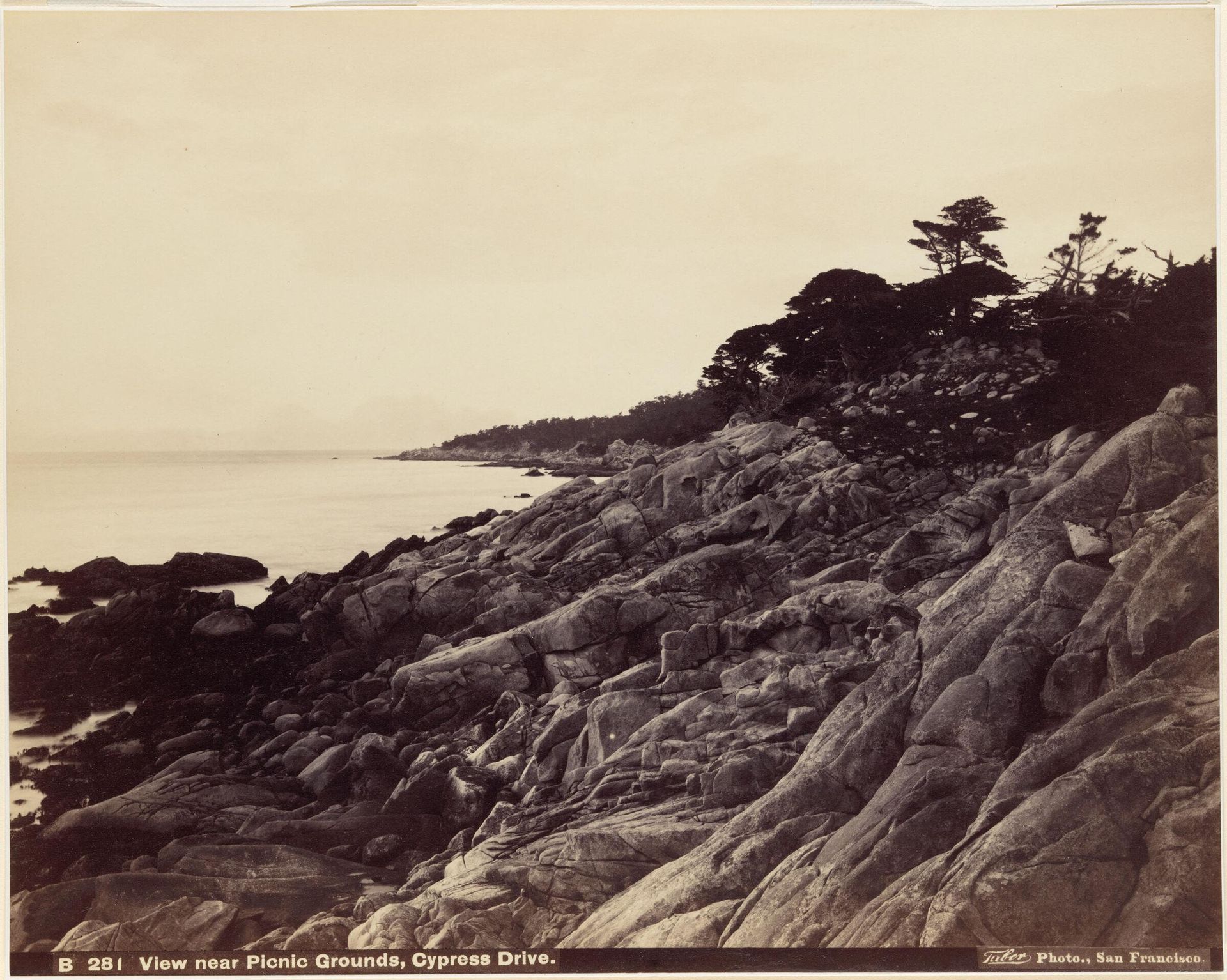 View near Picnic Grounds, Cypress Drive by Carleton Emmons Watkins
