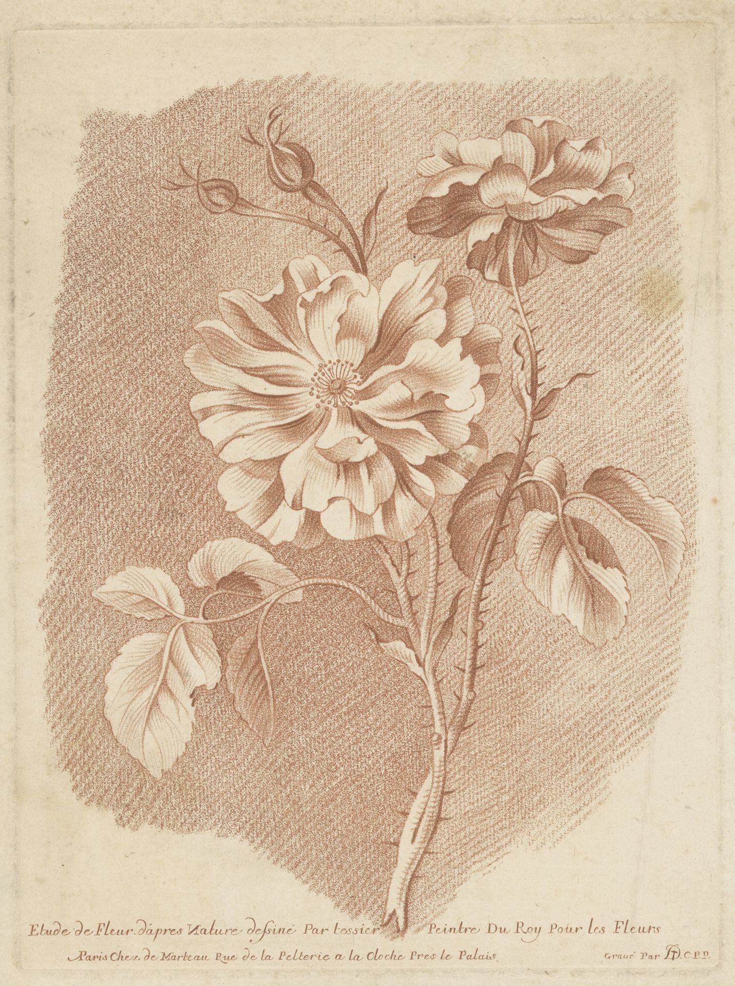 Bloemen by Gilles Demarteau