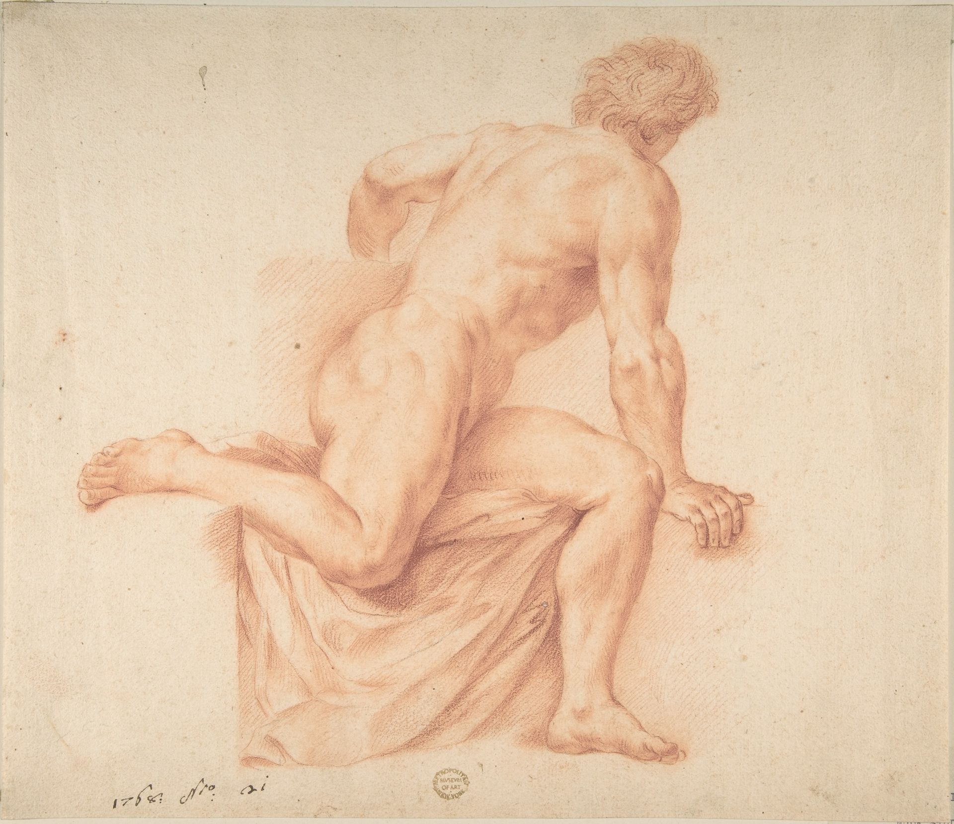 Nude Study by Anonymous