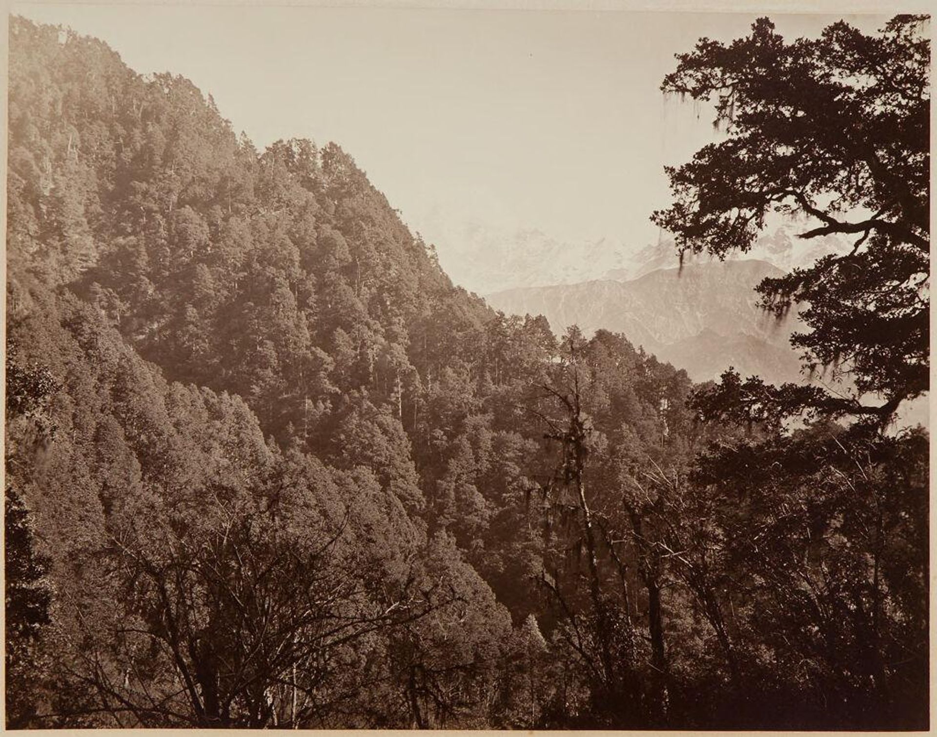 Iumnootri, Bunderpoonah (The Iumnotri Peak); A Peak from the Heights above Agora by Samuel Bourne