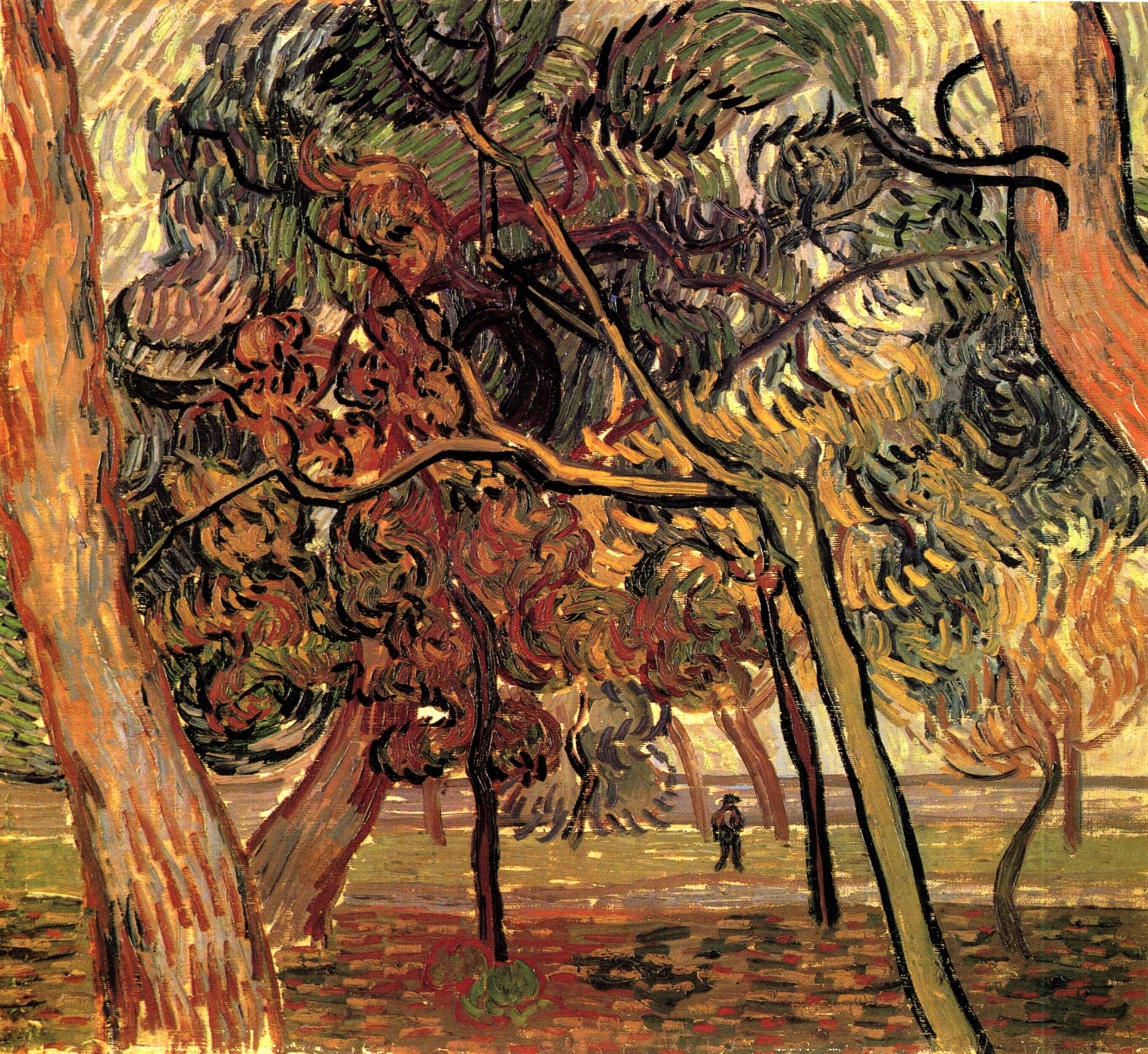 Study of Pine Trees by Vincent van Gogh