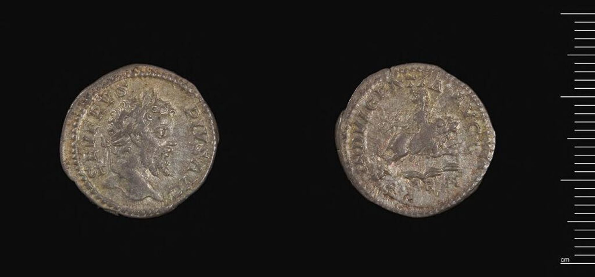 Coin of Septimius Severus by Septimius Severus