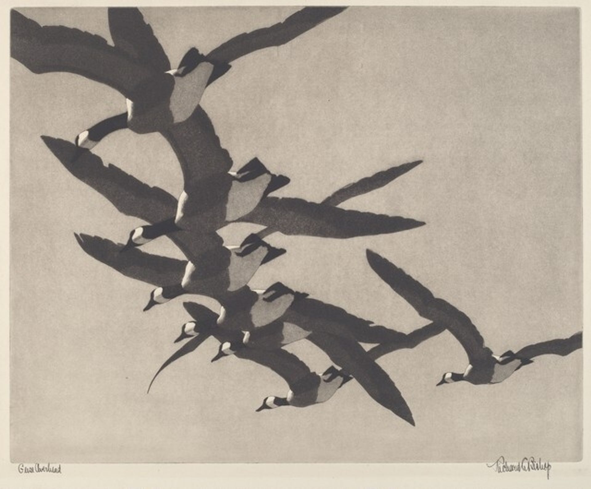 Wild Geese by Richard Evett Bishop