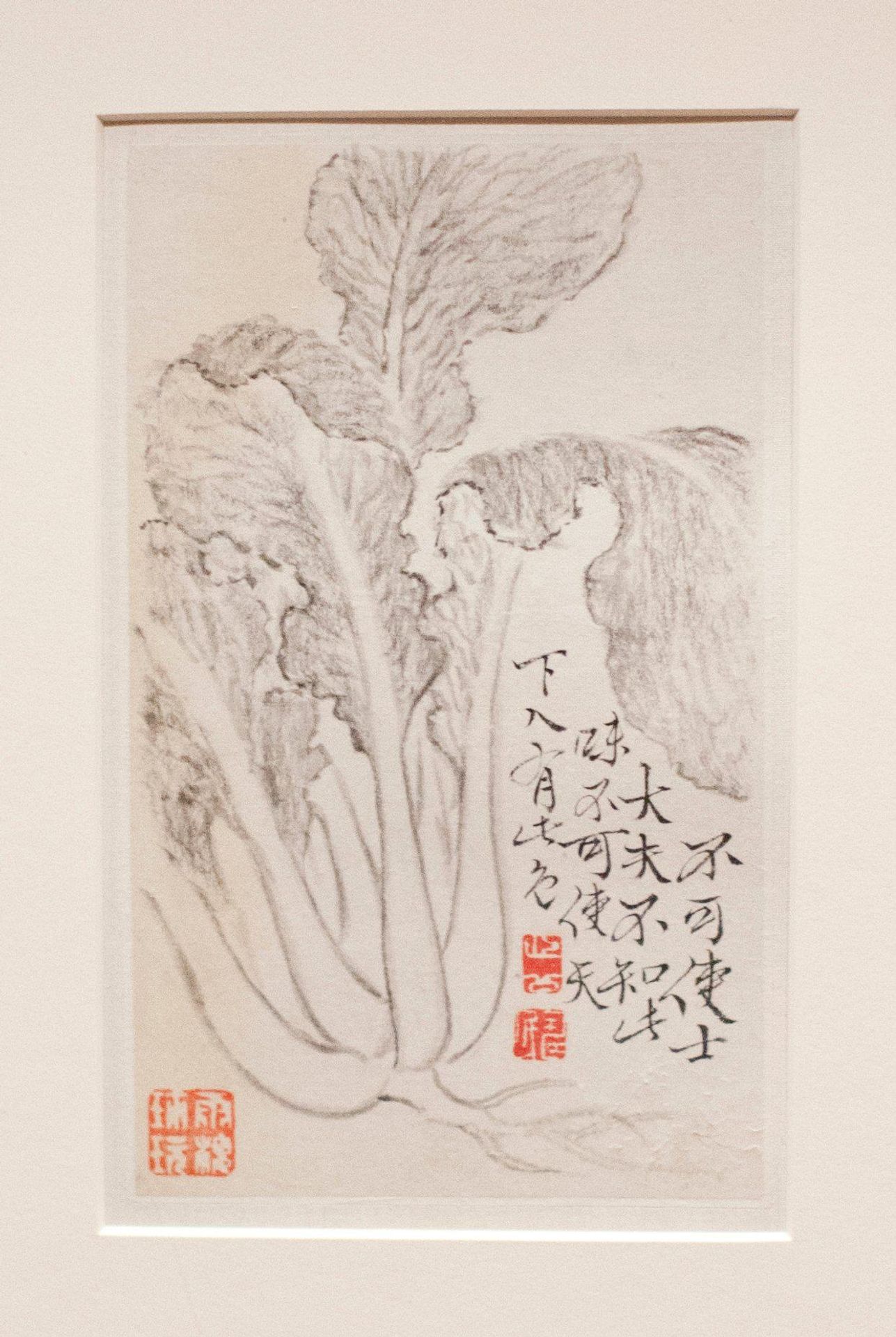 Bok Choy(-) by Bian Shoumin