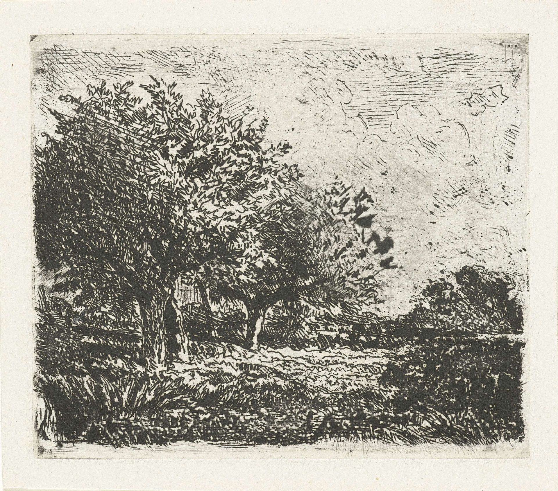 Landschap met wilgen by Adrianus van Everdingen