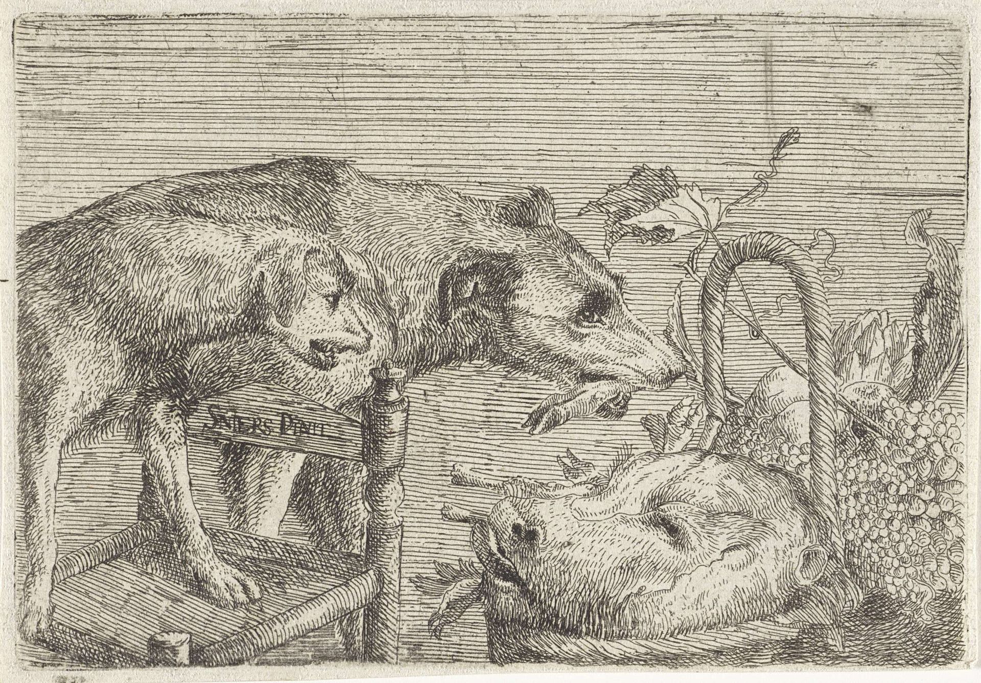 Twee honden bij een mand met voedsel by Anonymous