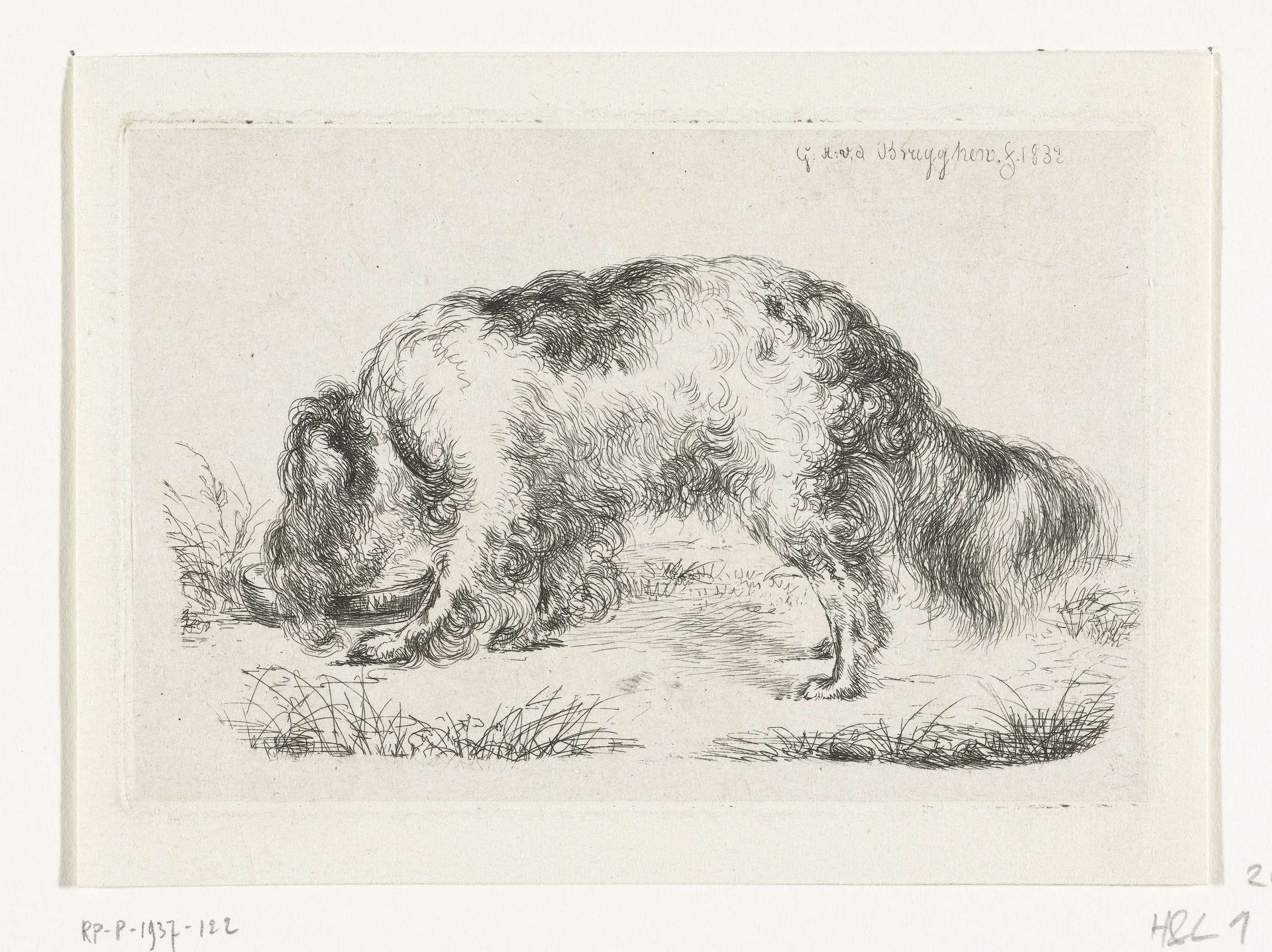 Drinkende hond by Guillaume Anne van der Brugghen