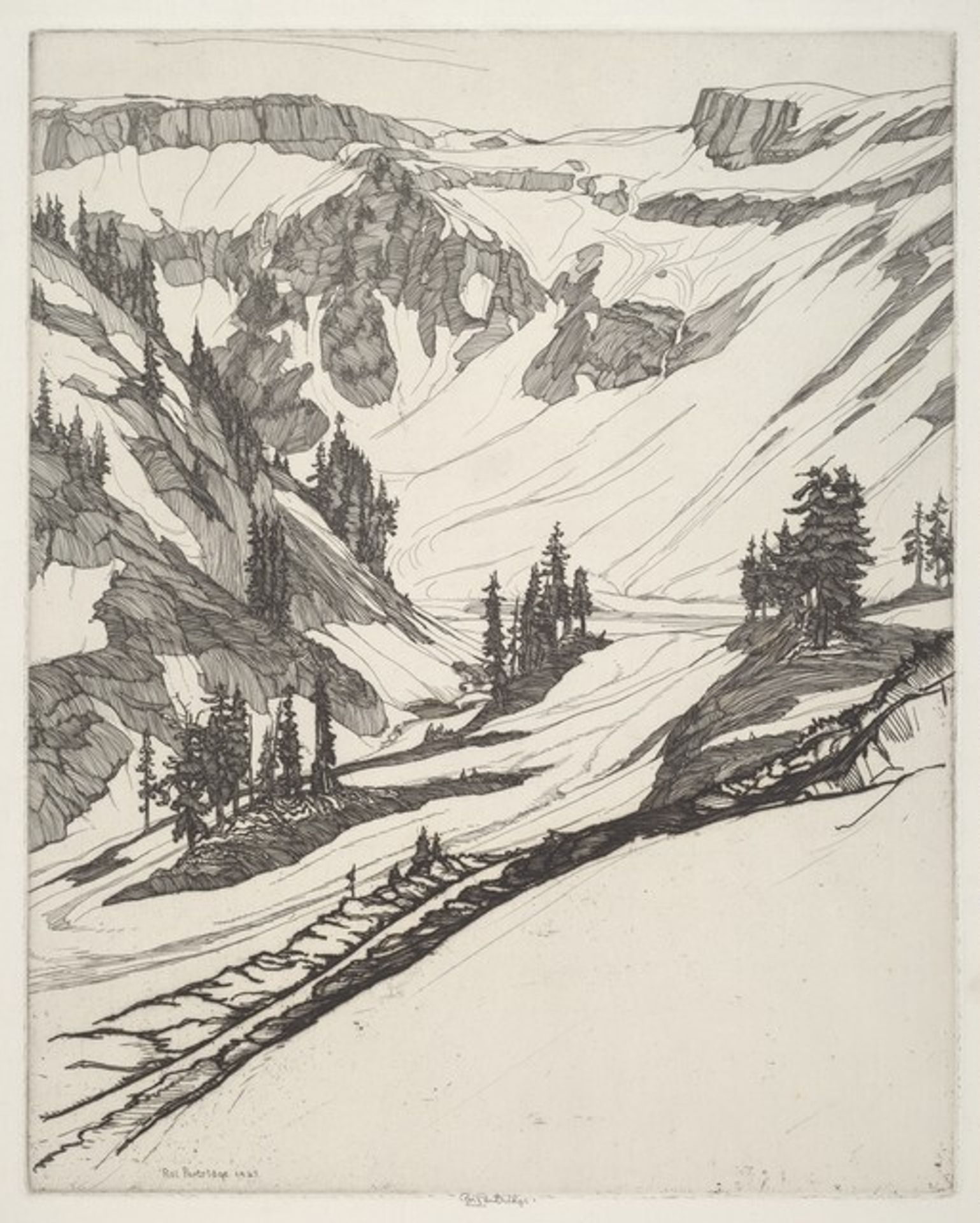 Snowfields by Roi Partridge
