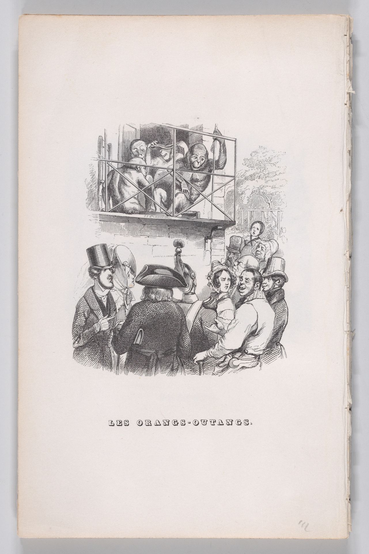 "Orangutans" from The Complete Works of Béranger by J. J. Grandville