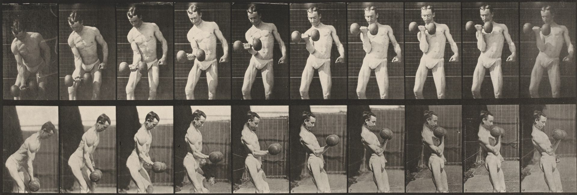 Plate Number 324. Curling a 50-lb. dumbbell by Eadweard Muybridge
