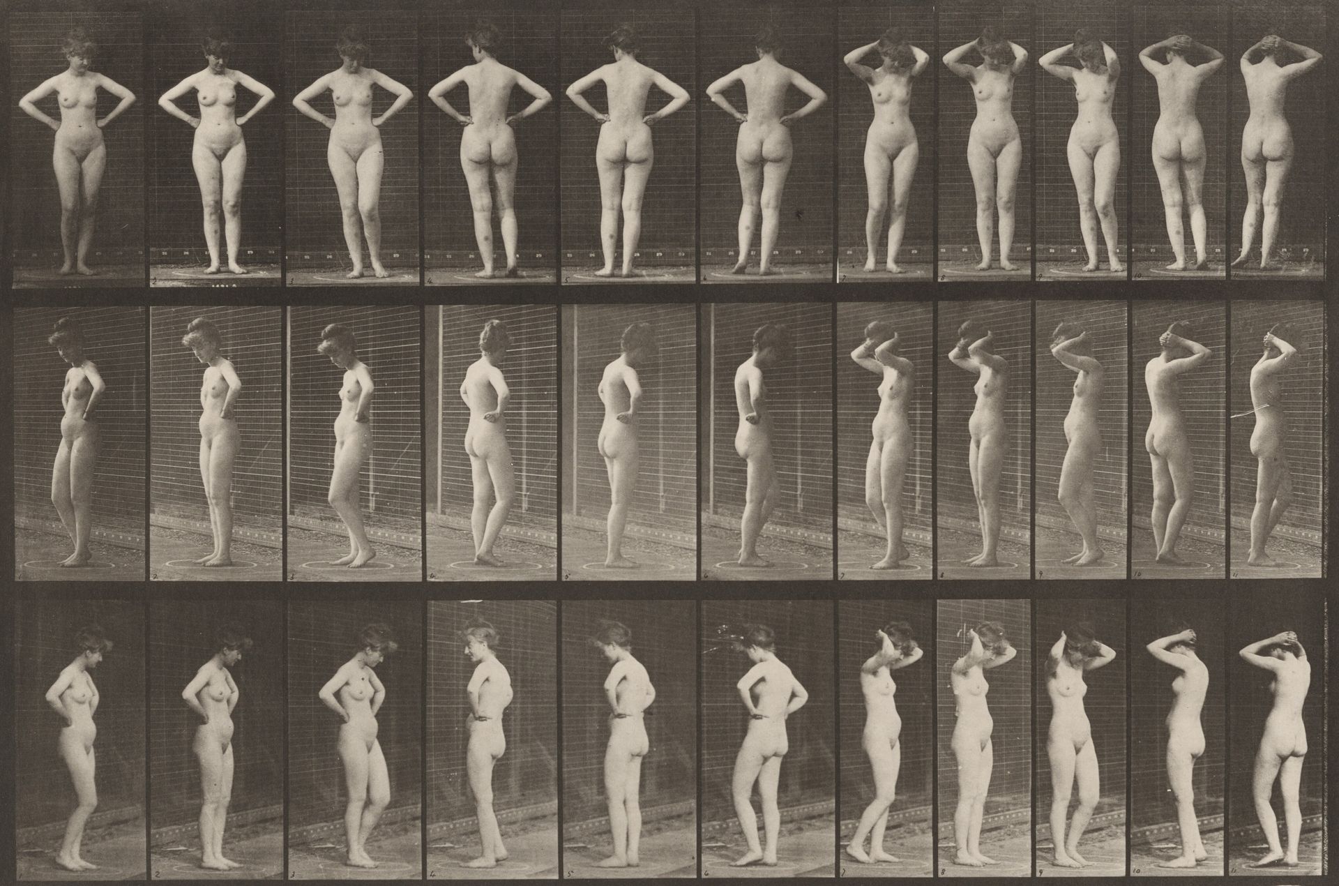 Plate Number 531. Various poses by Eadweard Muybridge