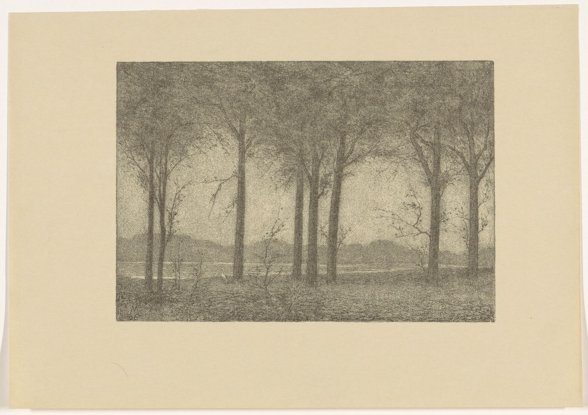 Bomen aan het water by Simon Moulijn