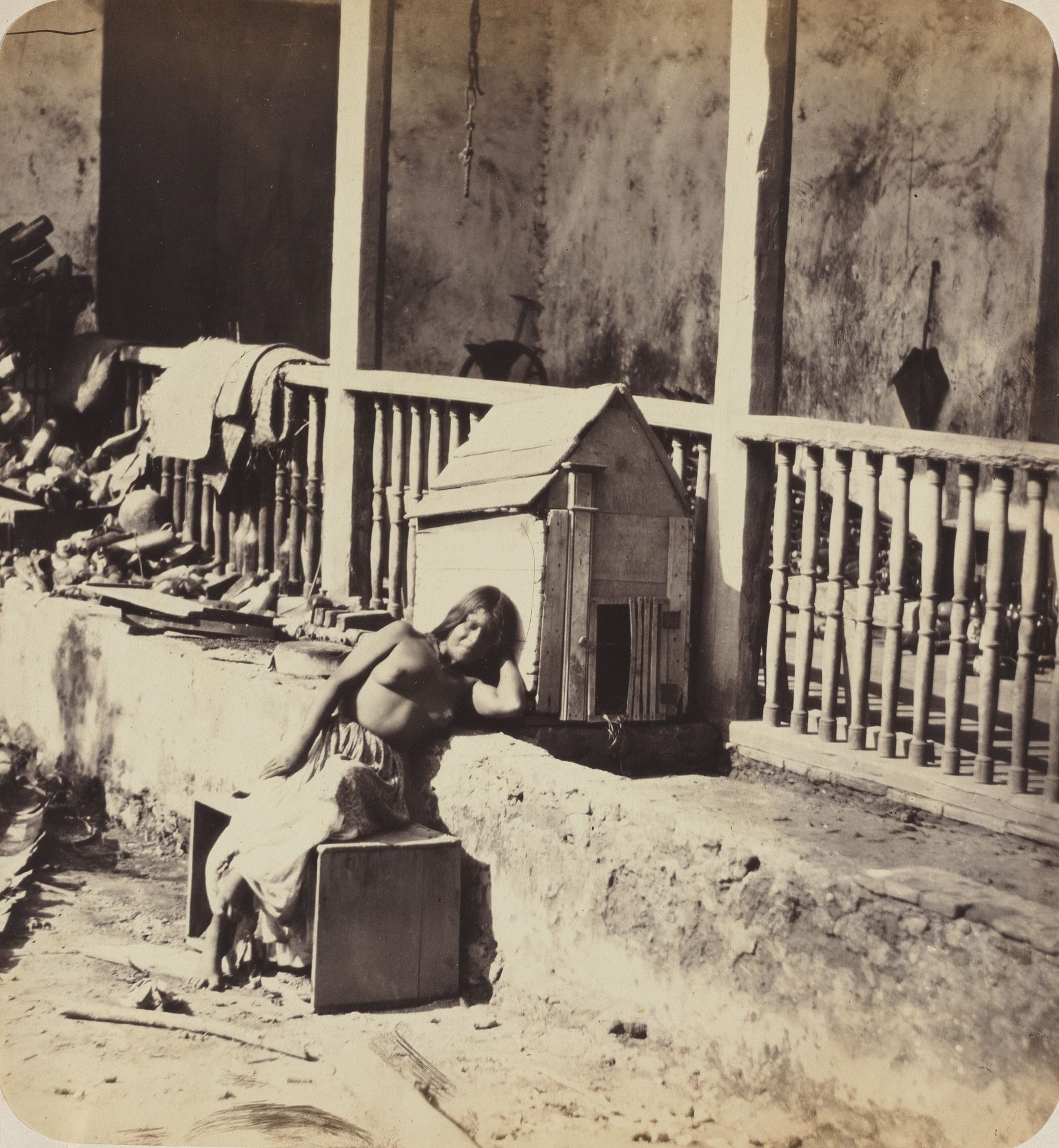 Chien de Garvel (Martinique) by Paul Emile Miot