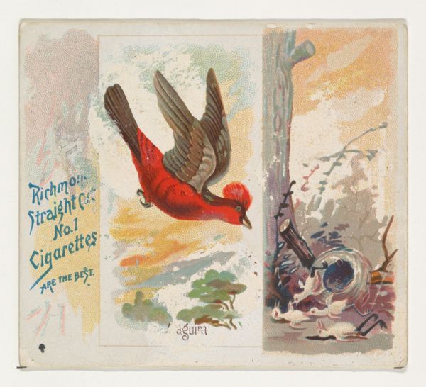 Slide 14