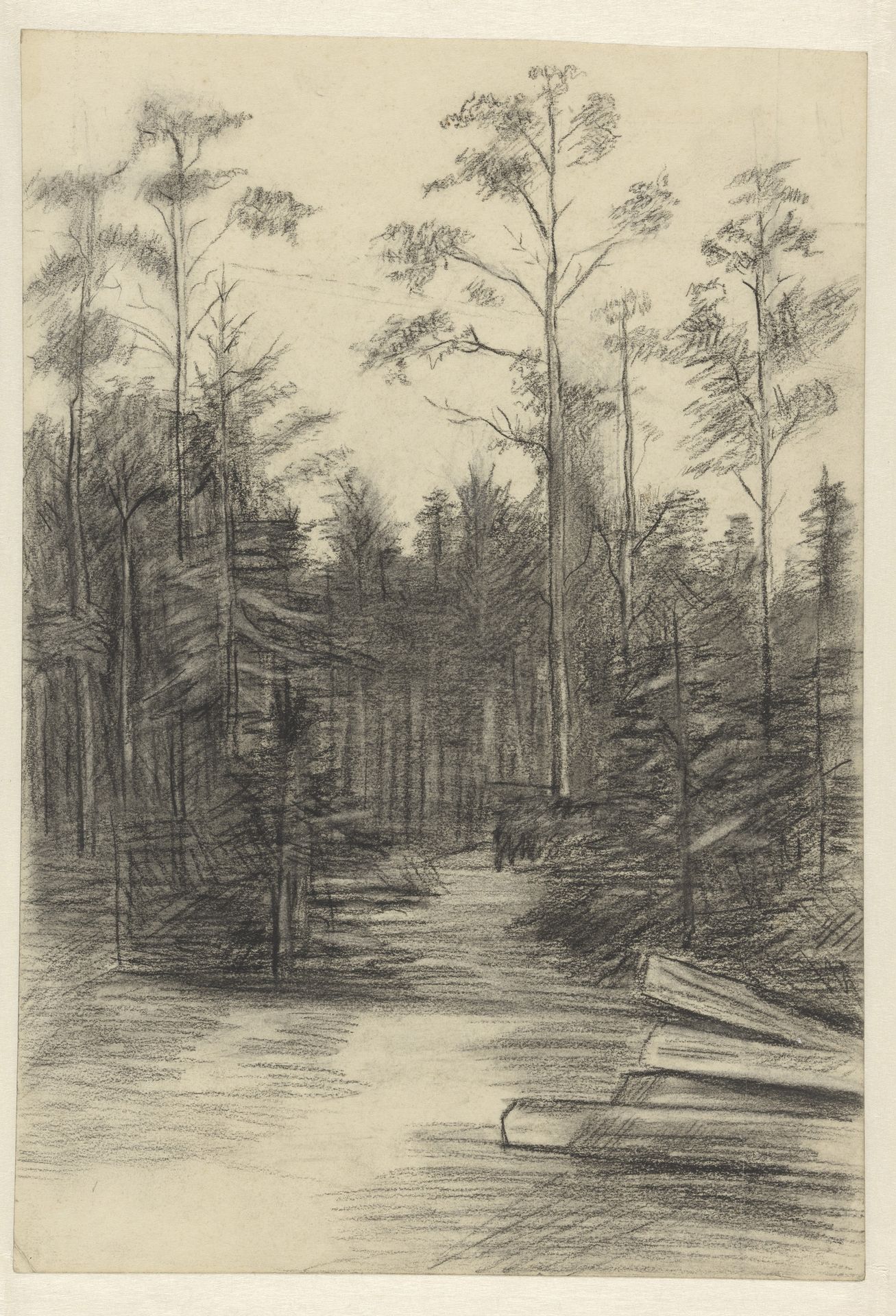 Bosweg tussen dennen by Willem Witsen