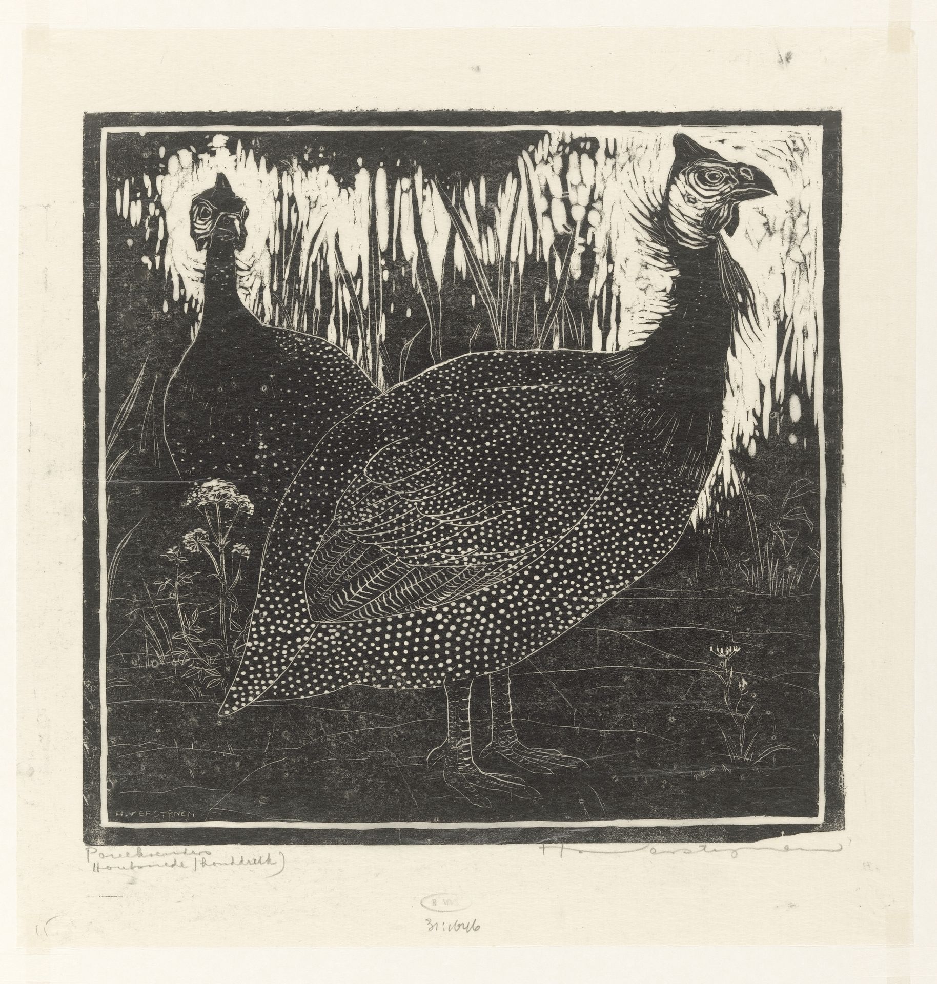 Parelhoenders by Henri Verstijnen