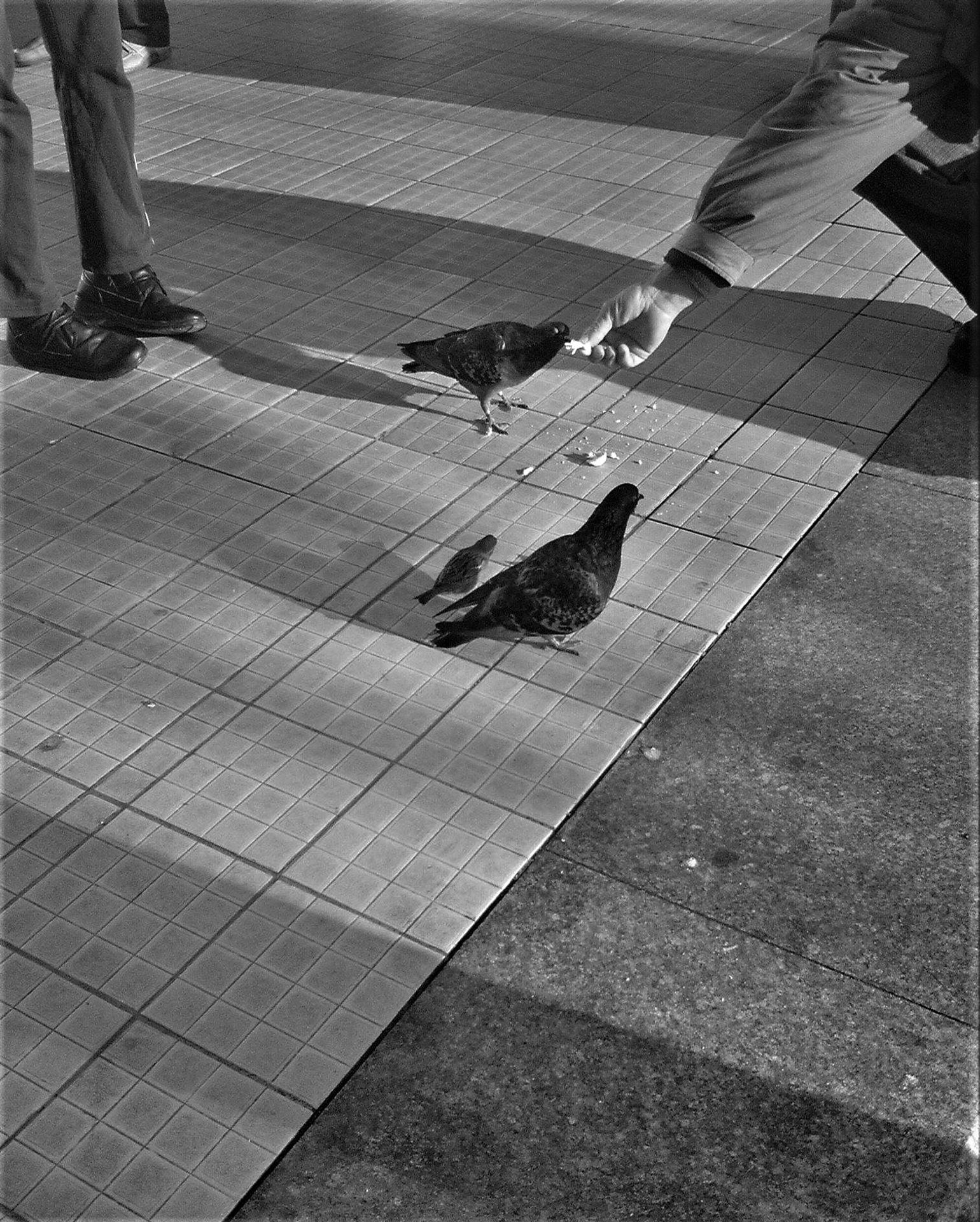 One morning at the local bus station by Alfred Freddy Krupa