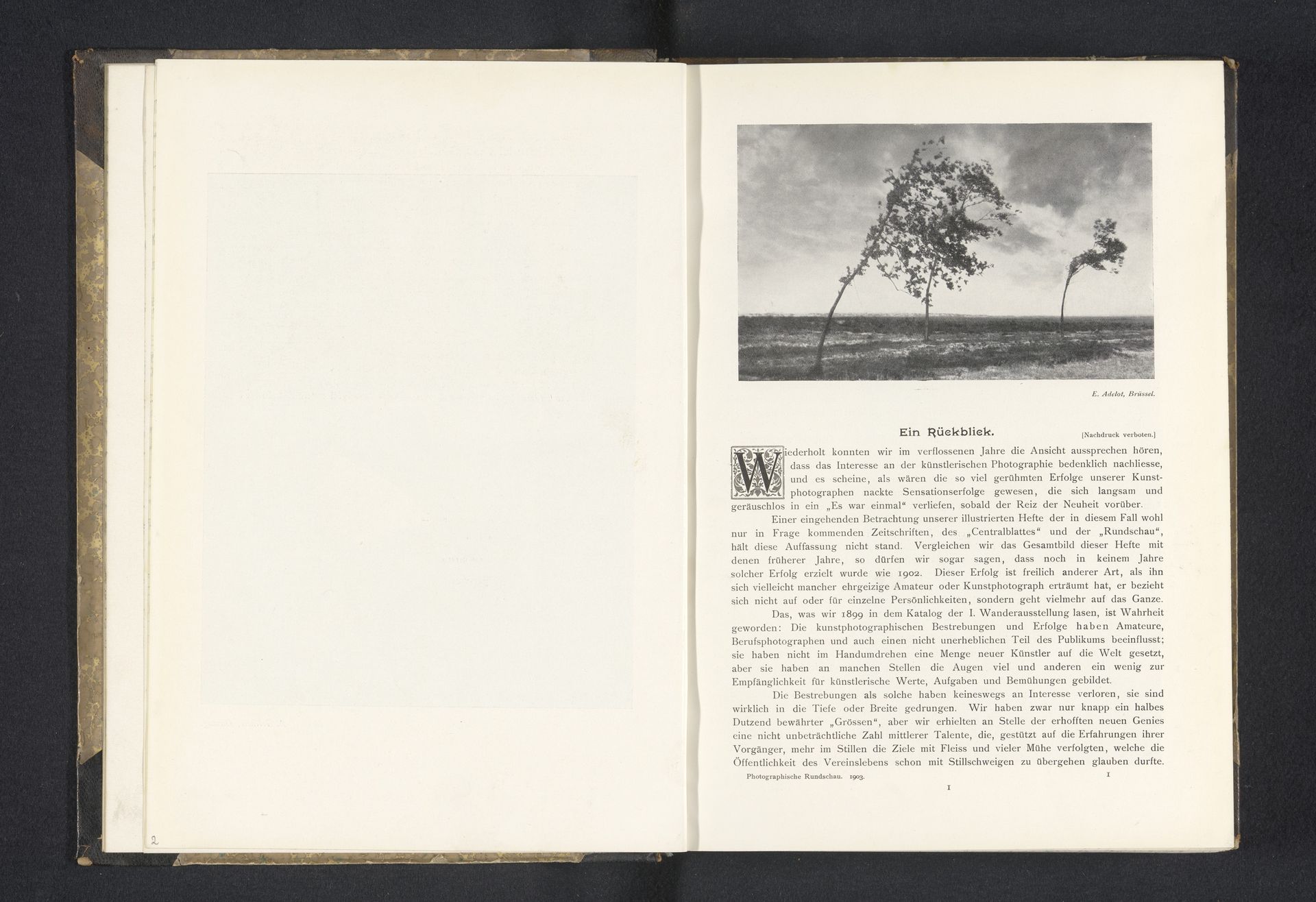 Landschap met drie bomen by Edouard Adelot