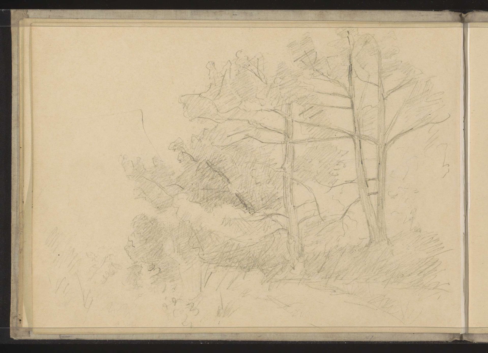 Bomen en struiken by Jozef Israëls