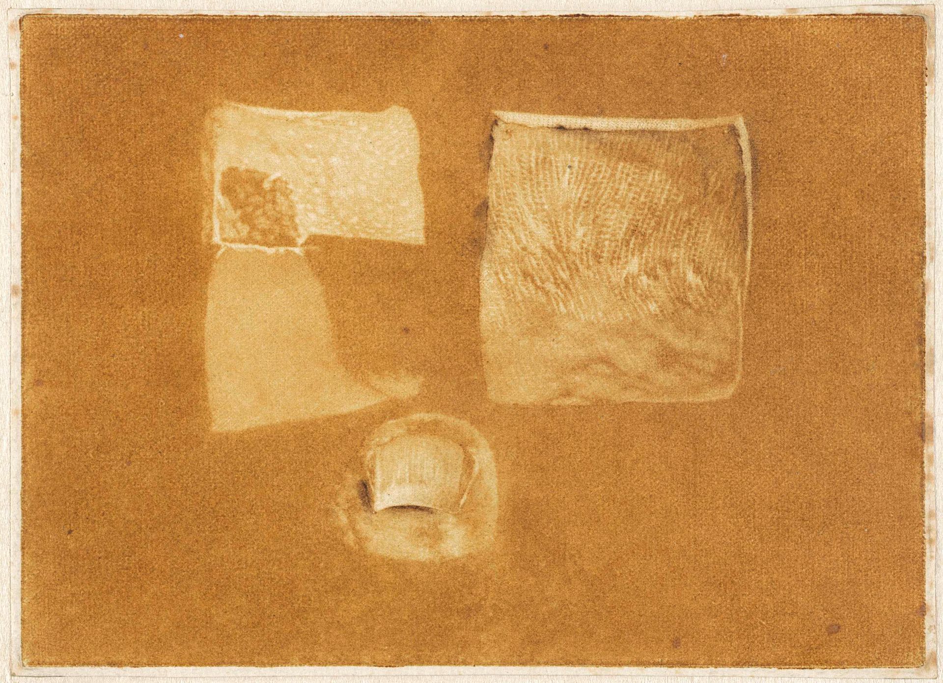 Anatomische studie van menselijke huid en nagel by Jan l' Admiral