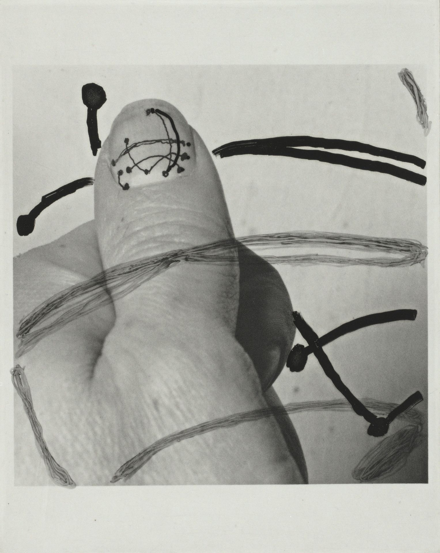 D. (All Thumbs) by Al Taylor