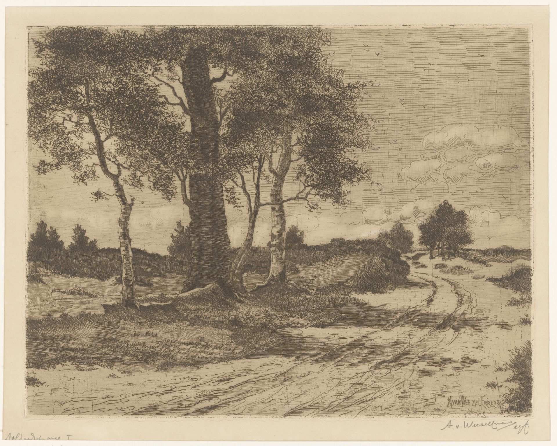 Landschap met bomen en hei by Adolphe P.H J. van Weezel Errens