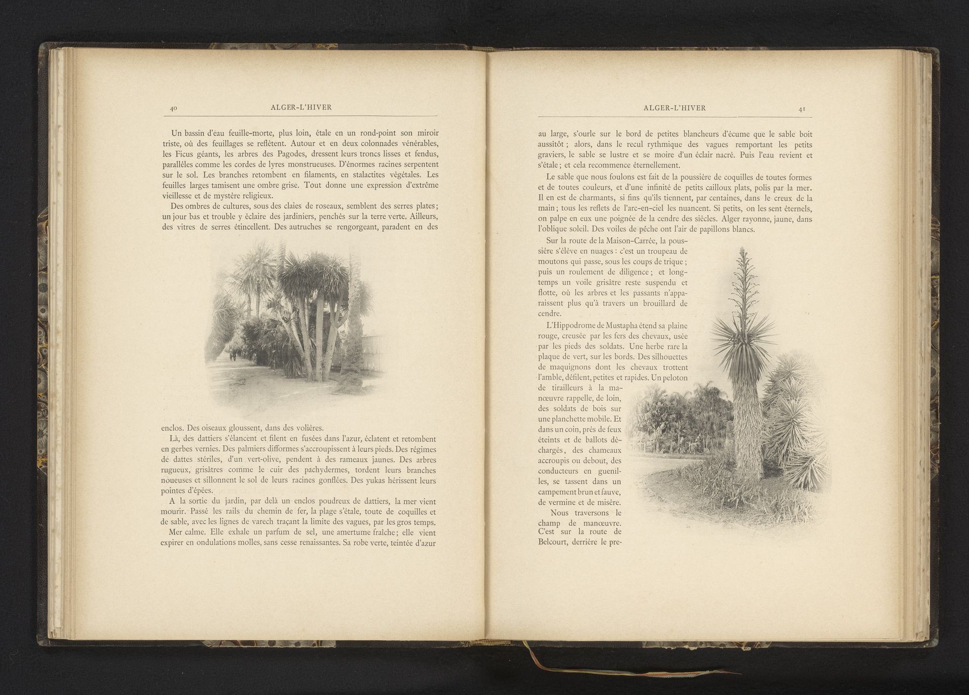 Boom langs een weg in Algiers, Algerije by Jules Gervais-Courtellemont