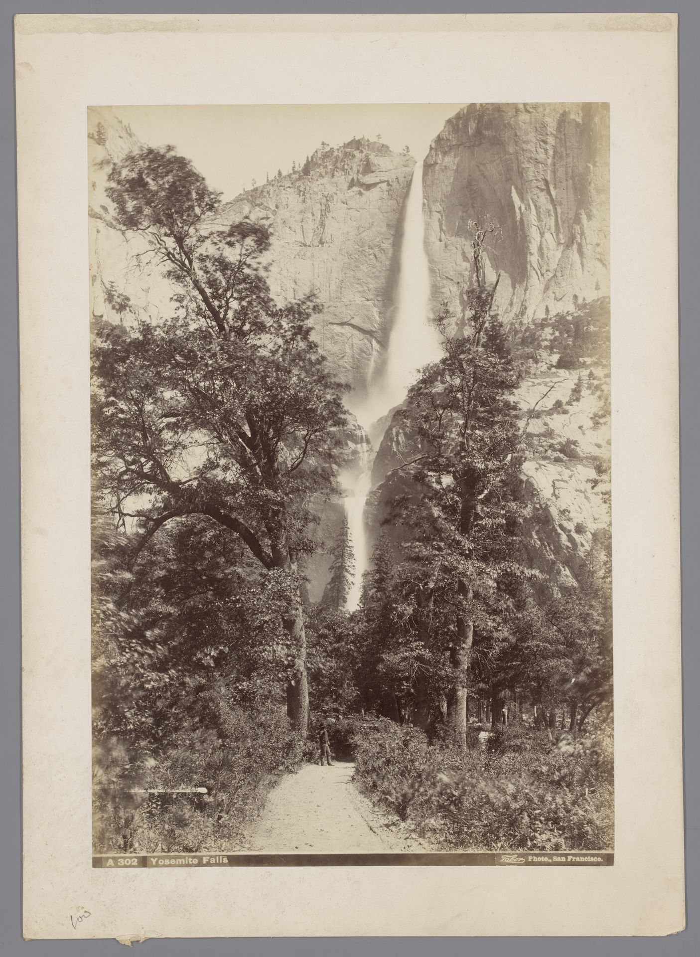 Yosemite Falls, Yosemite National Park, Californië, Verenigde Staten by Isaiah West Taber