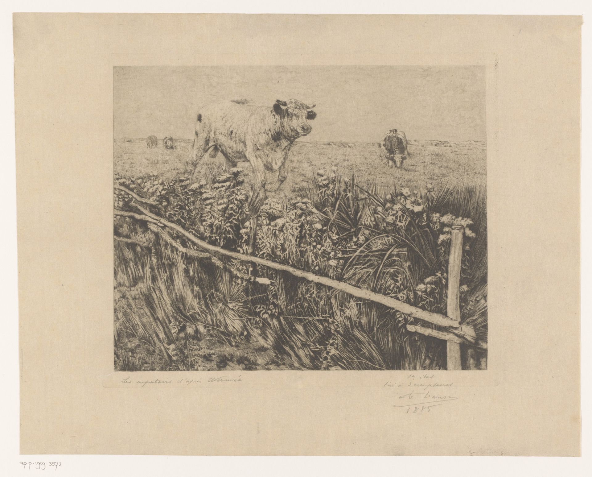 Koeien en een stier in de wei by Auguste Danse