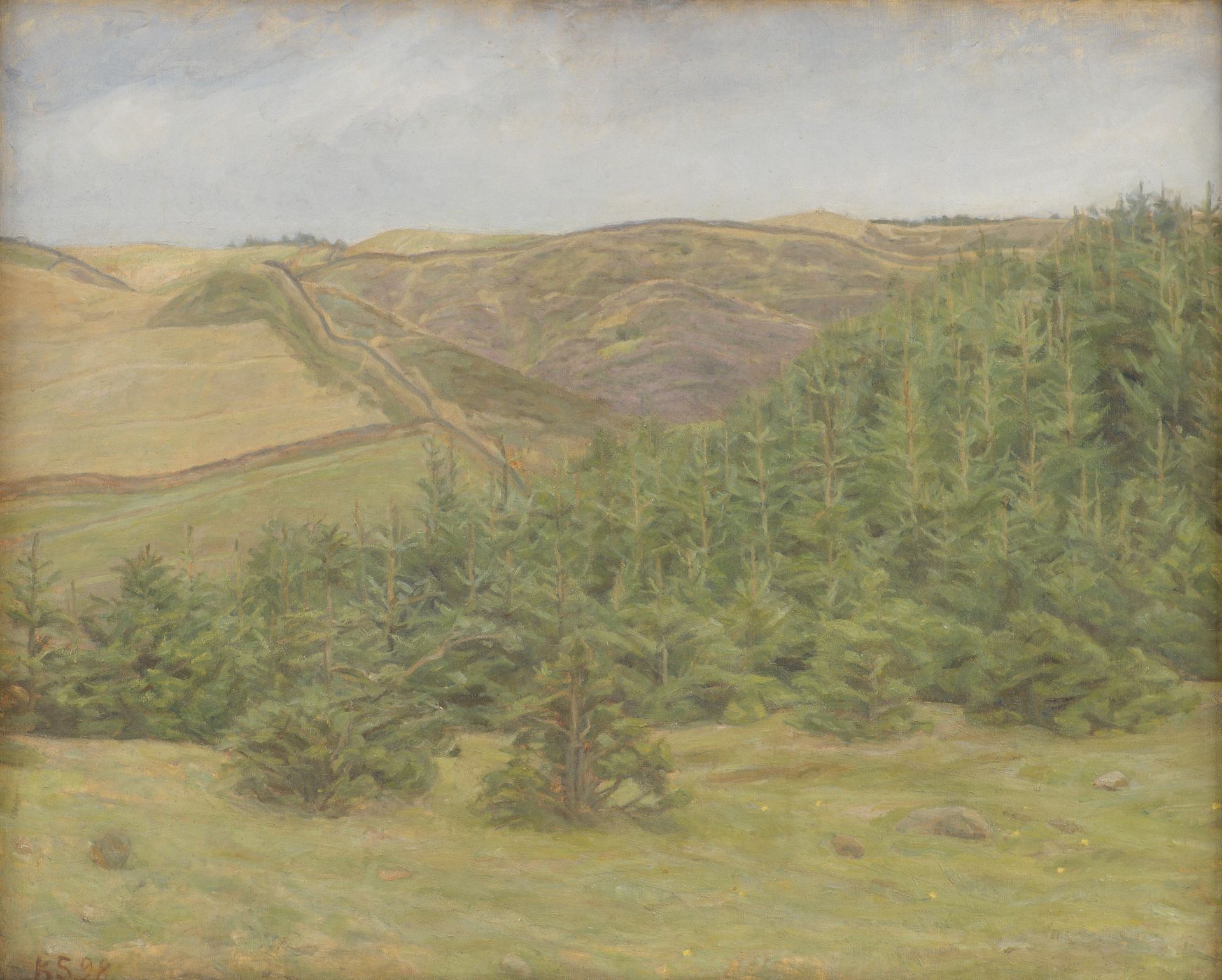 Svanninge Hills, Funen by Karl Schou