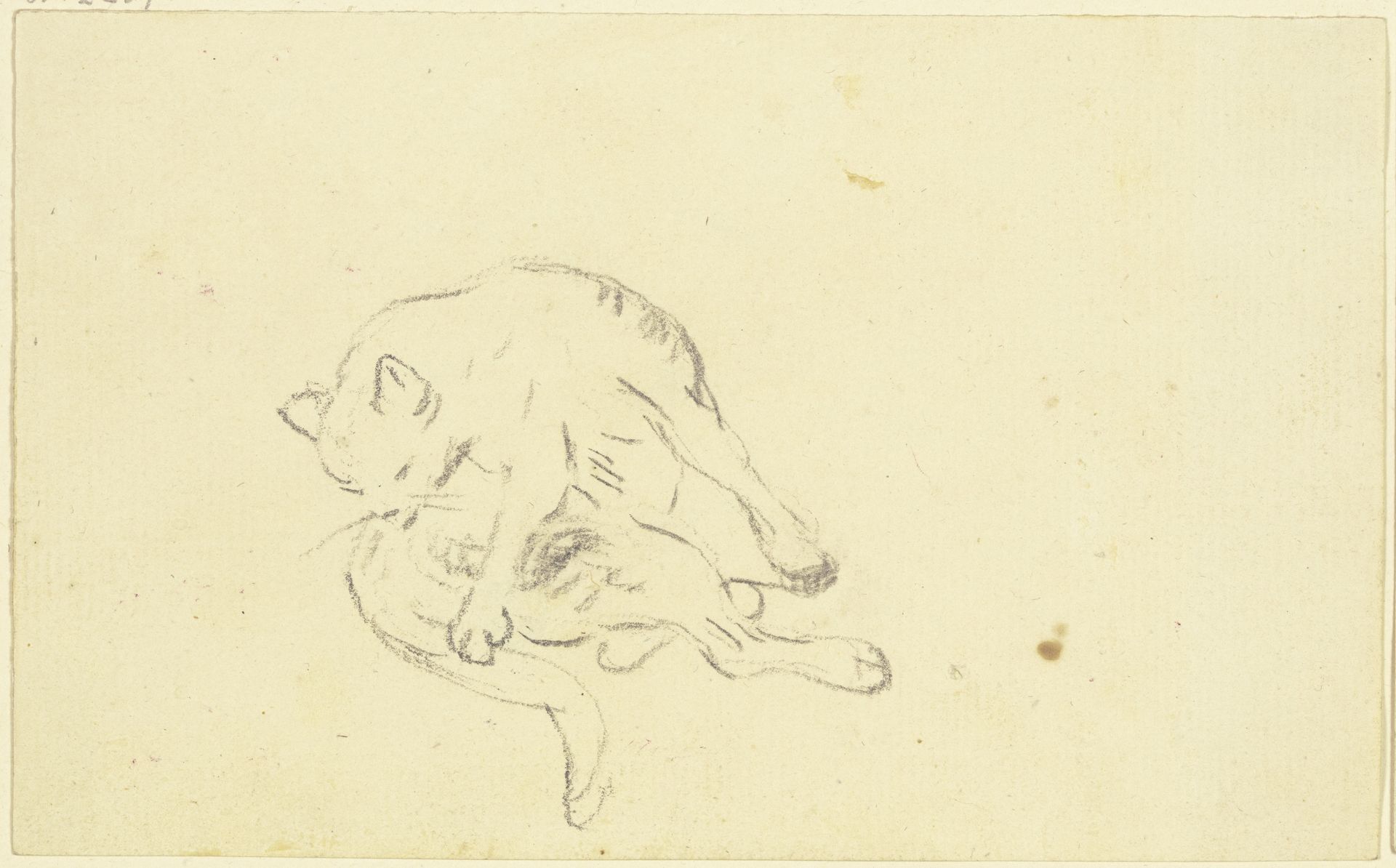 Grooming cat by Friedrich Wilhelm Hirt
