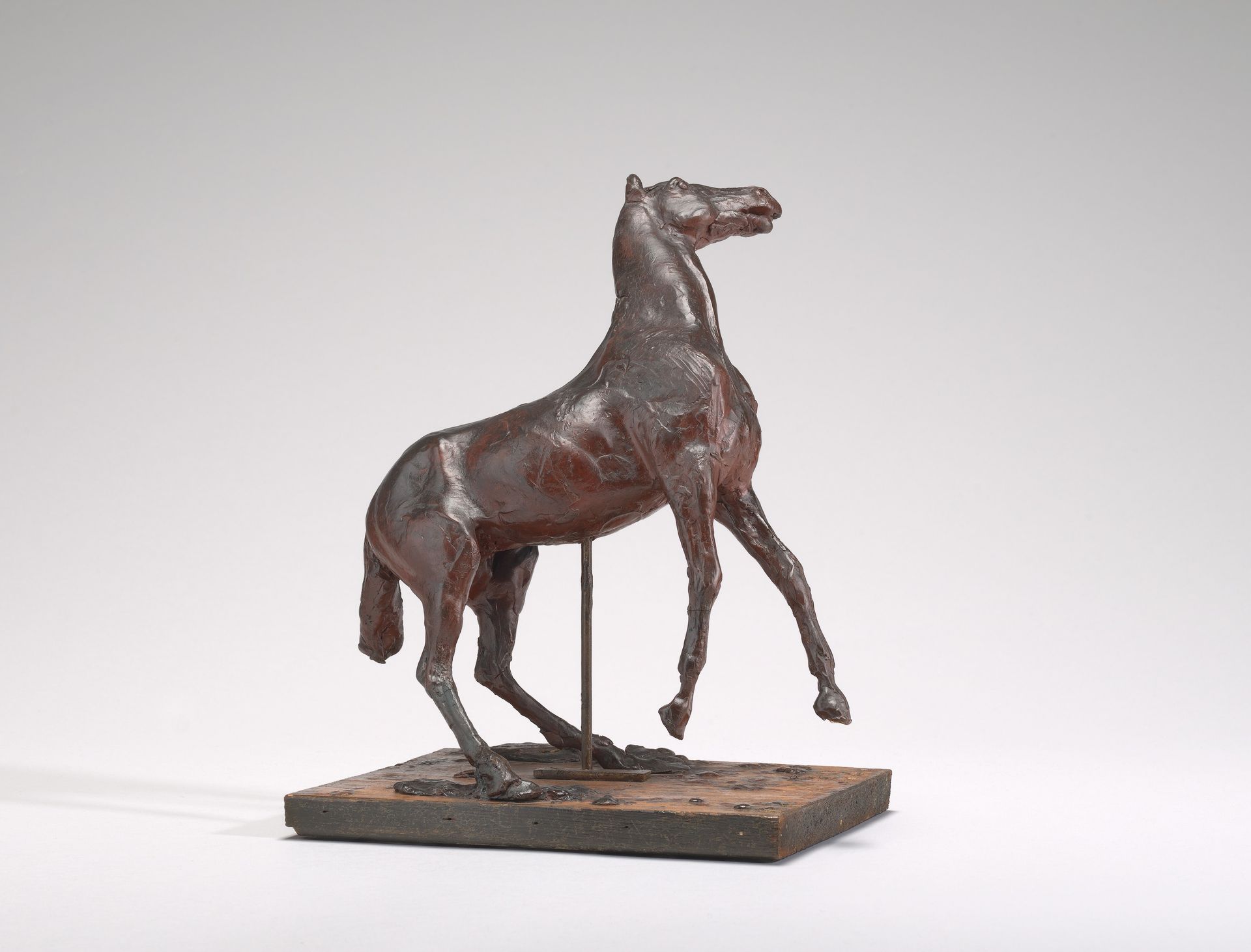 Horse Rearing by Edgar Degas